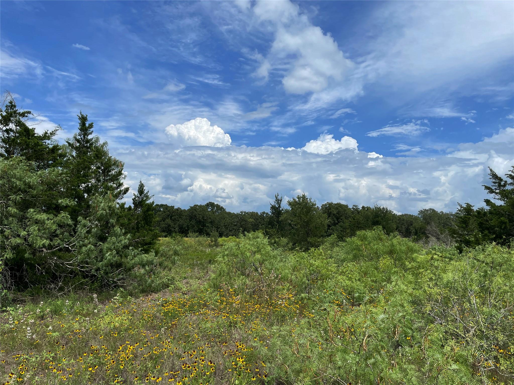 Listing photo 1 of TBD  FM 141 None