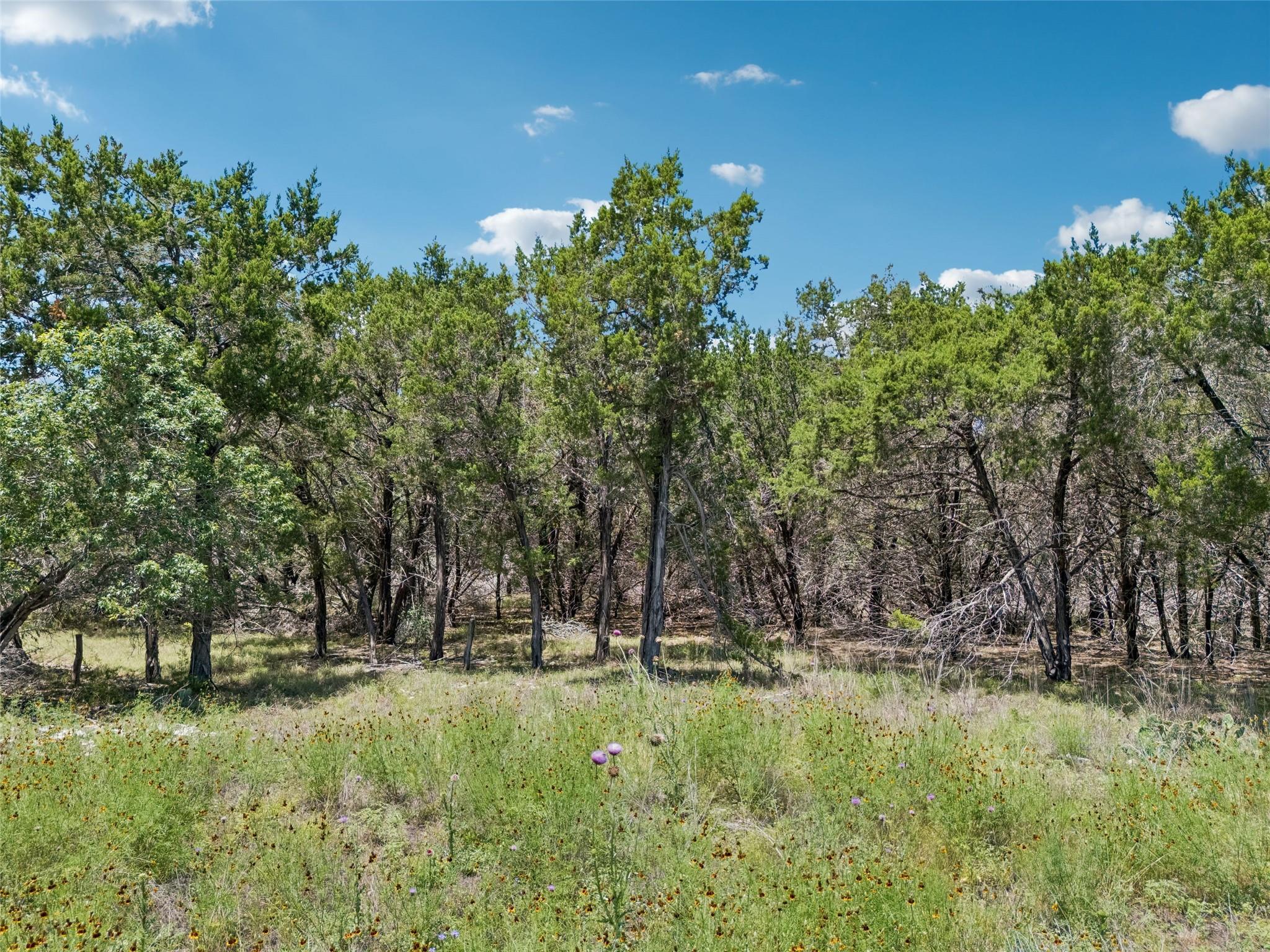 Listing photo 1 of TBD S Rainbow Ranch Rd