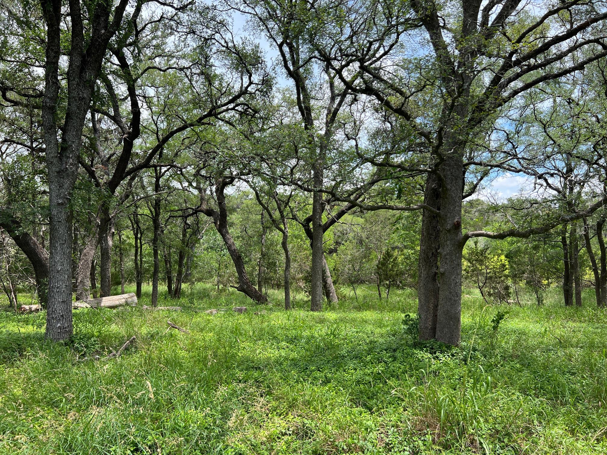 Listing photo 1 of TBD Lot PT 19  Narrows Rd