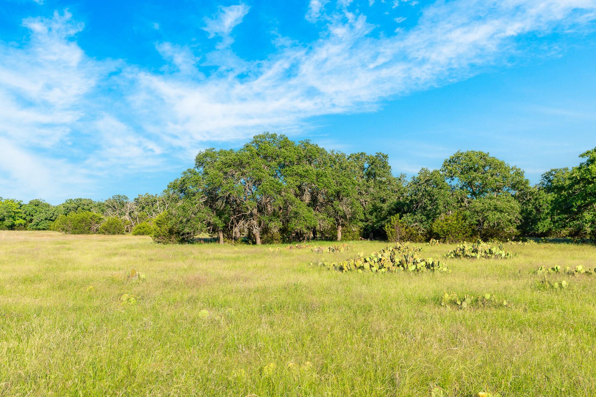 Green pastures and mature trees create a private,