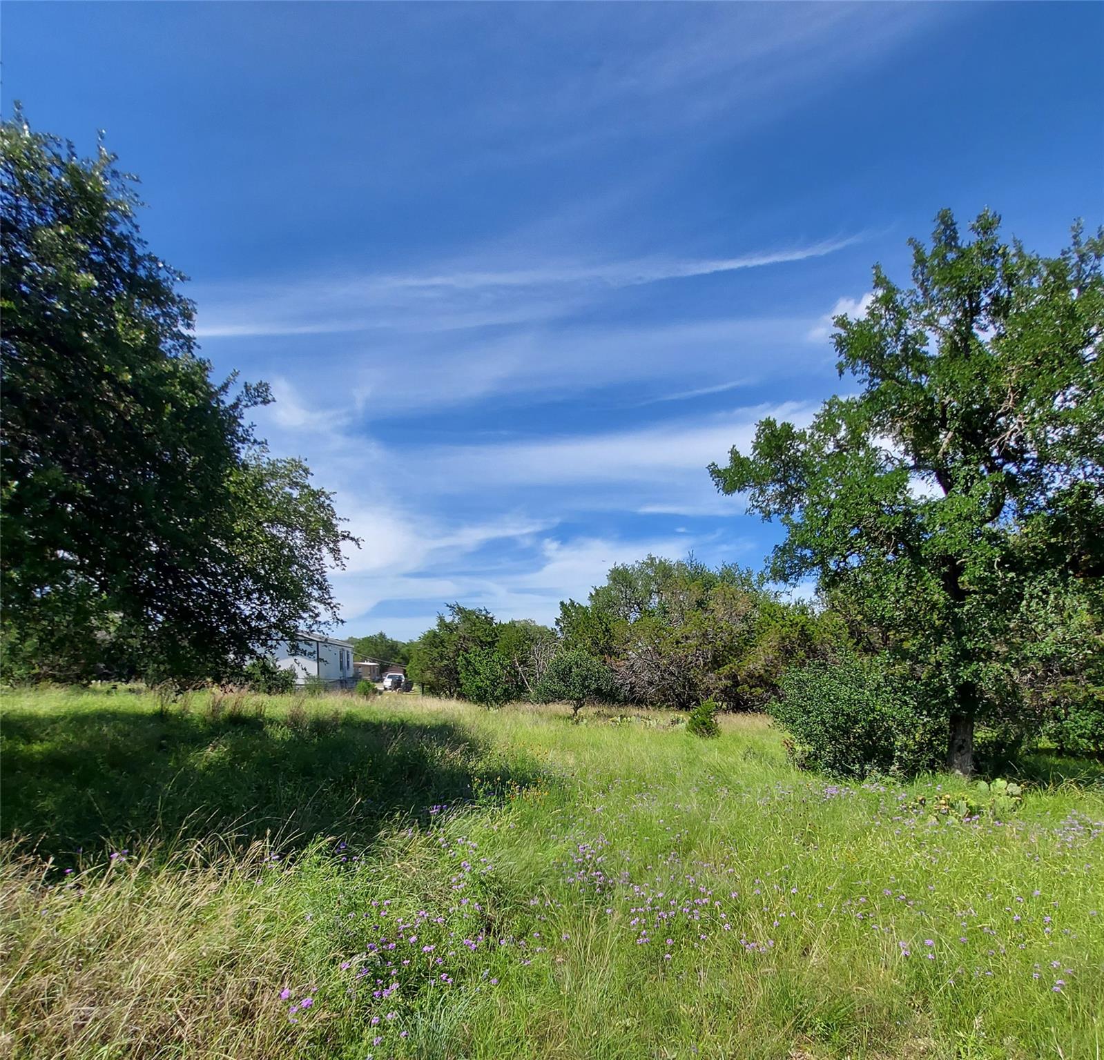 A tranquil, undeveloped parcel offers verdant fol