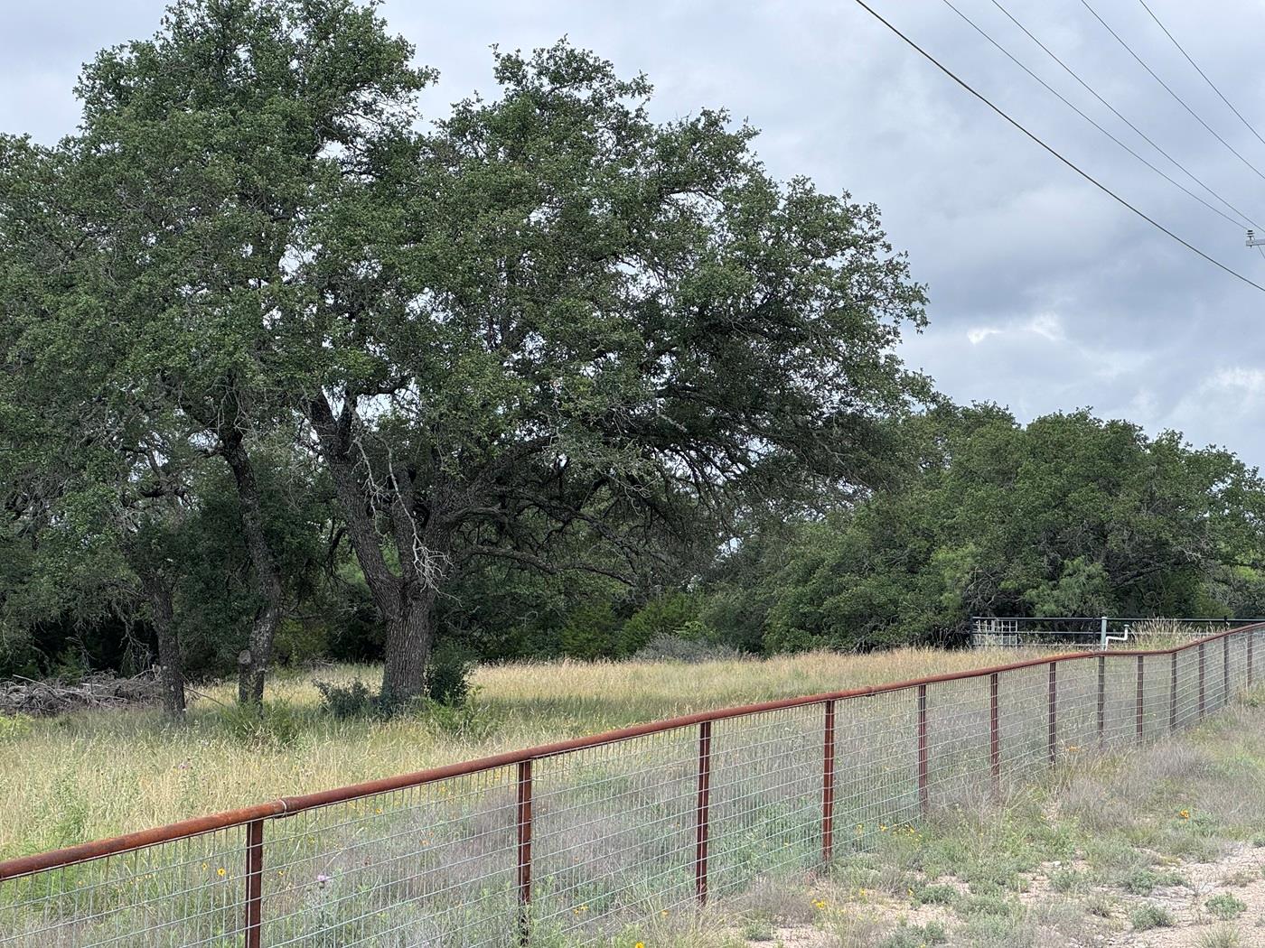 Mature trees and open pasture define this spaciou
