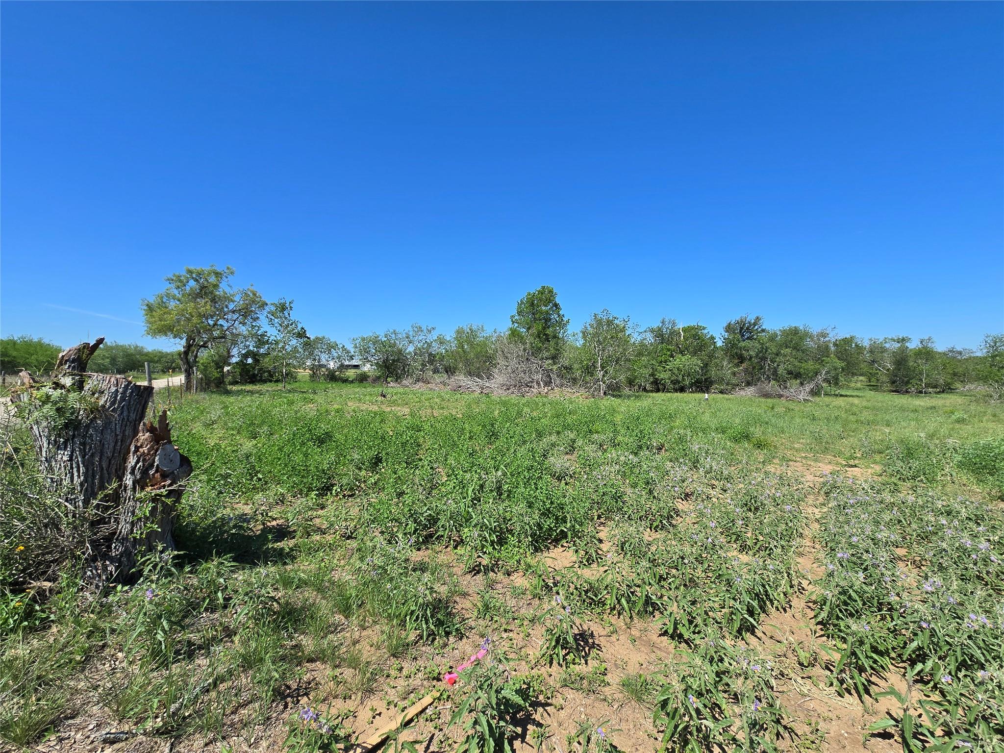 A spacious, verdant lot awaits your vision, frame