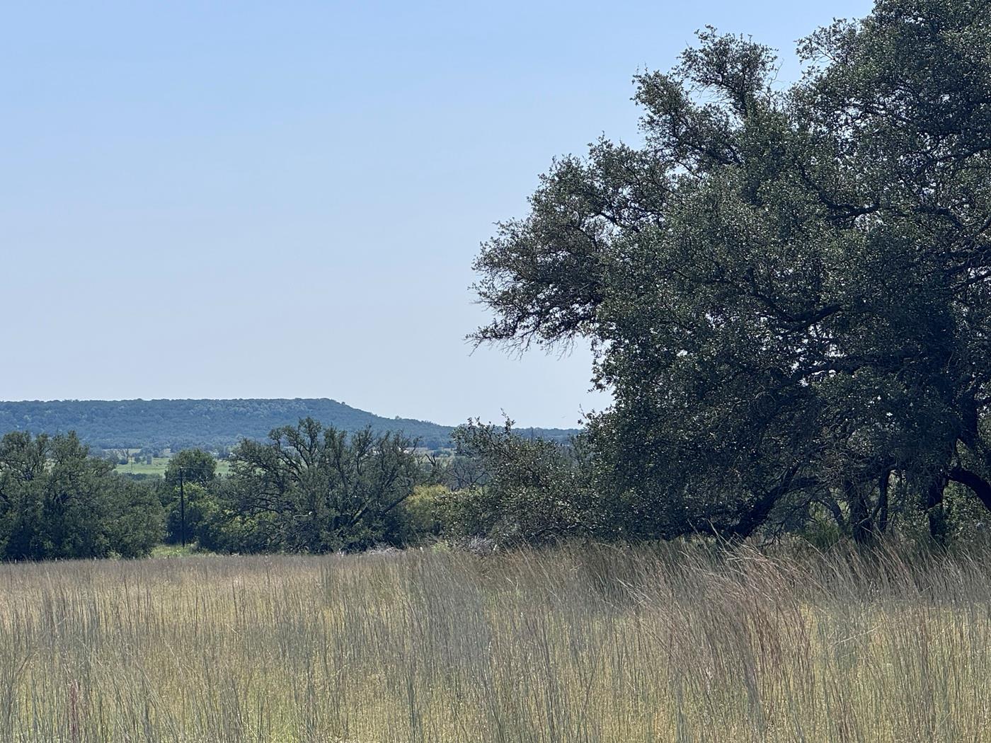 A tranquil expanse of golden grasses unfolds towa