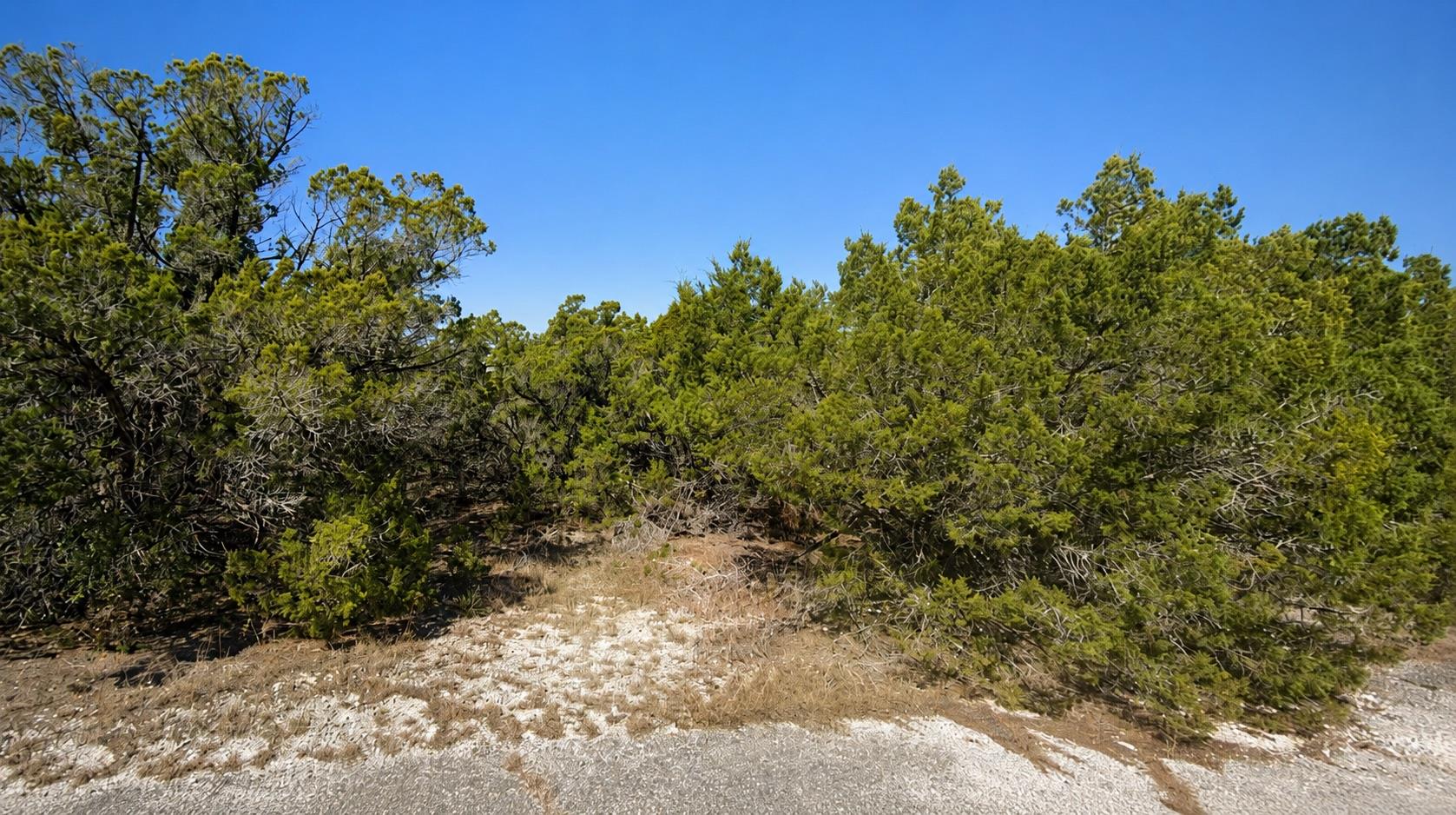 Listing photo 1 of 8404  Angus Trl