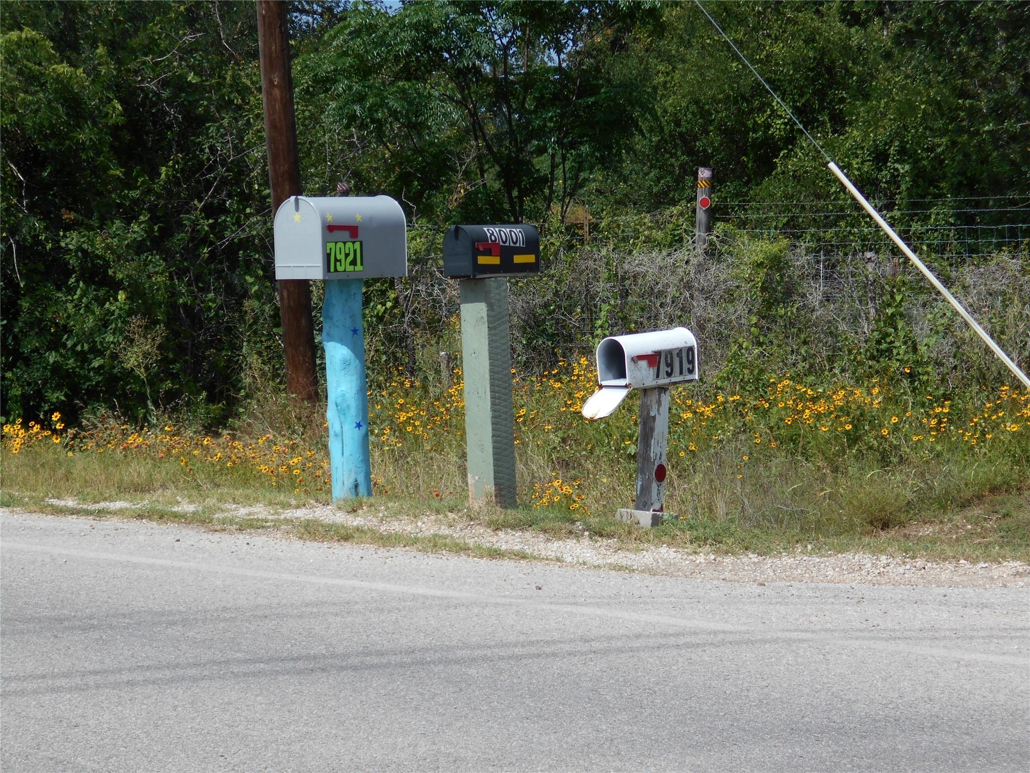 A row of mailboxes stands proudly at the roadside