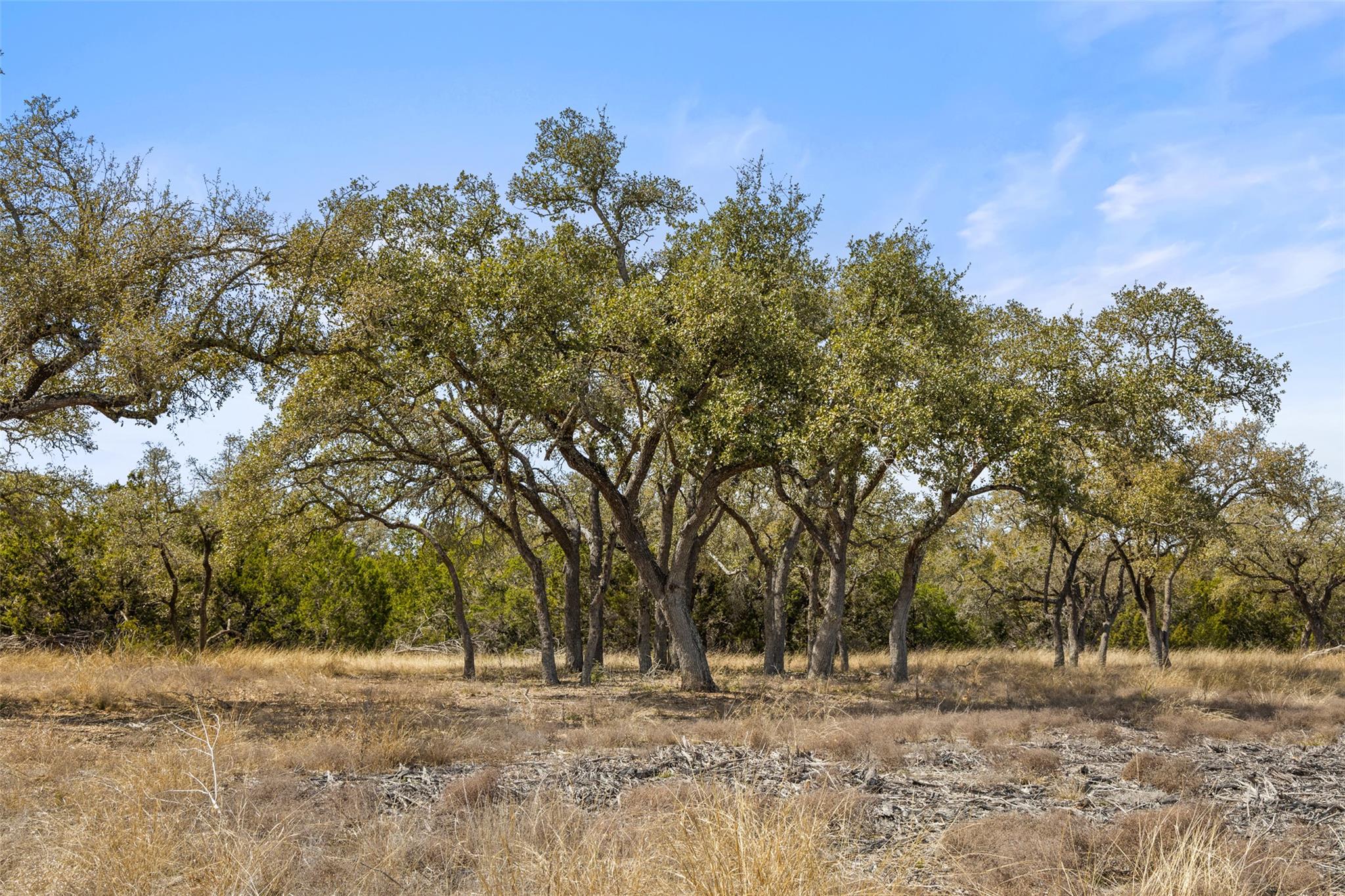 Mature trees grace this spacious lot, offering na