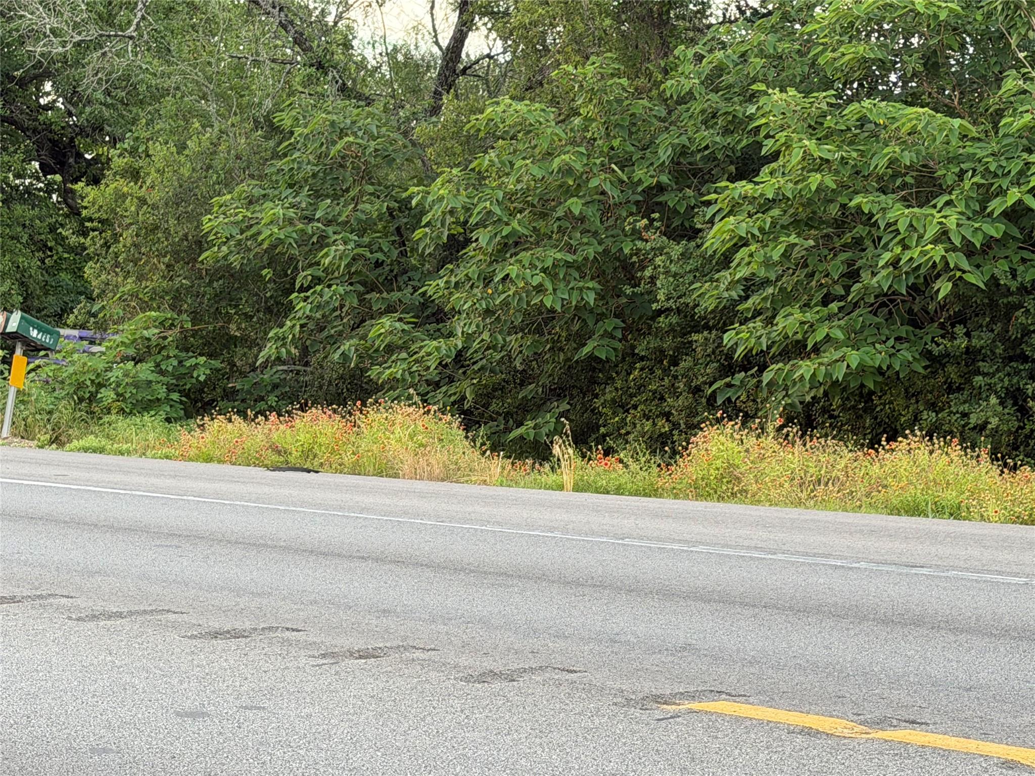 Mature trees and vibrant roadside foliage enhance