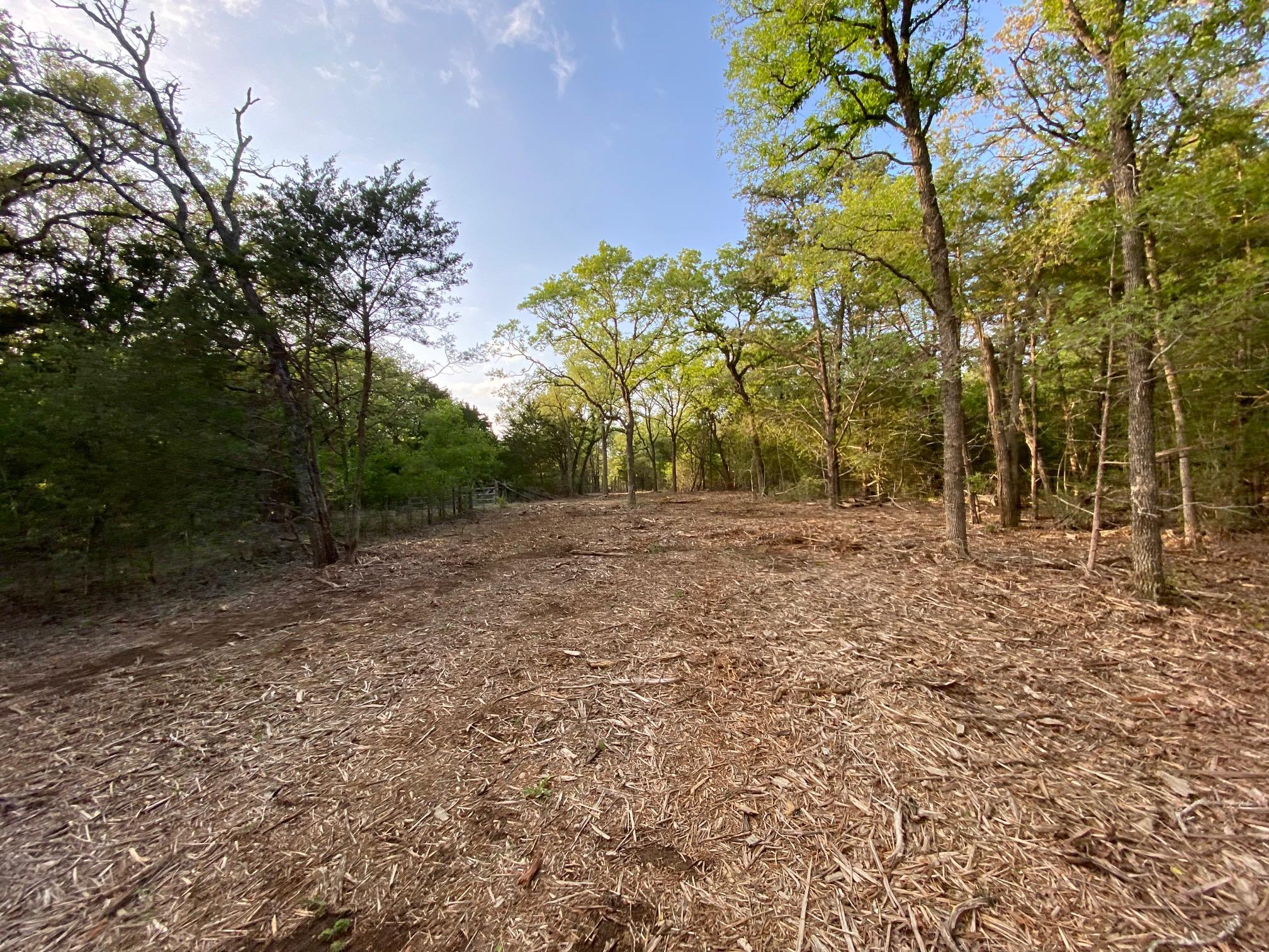 A spacious, cleared lot surrounded by mature tree