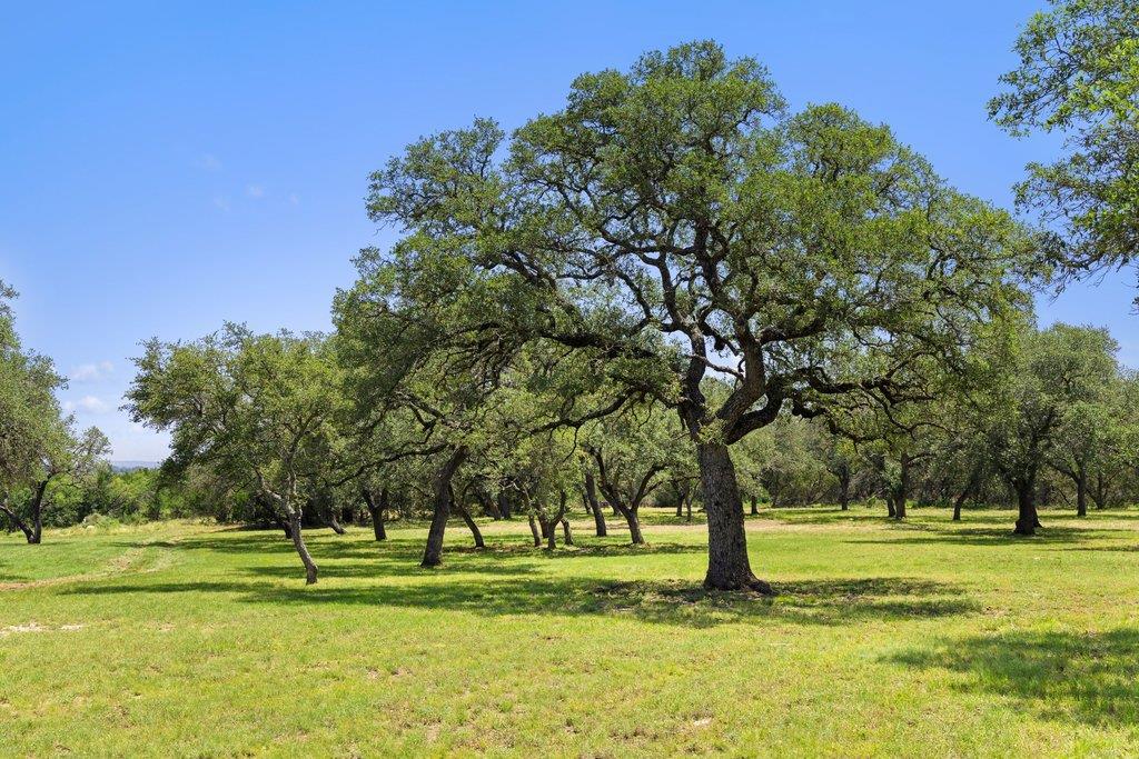 Mature trees dot this sprawling parcel, offering 