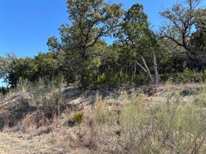 A secluded, undeveloped lot offers a serene setti
