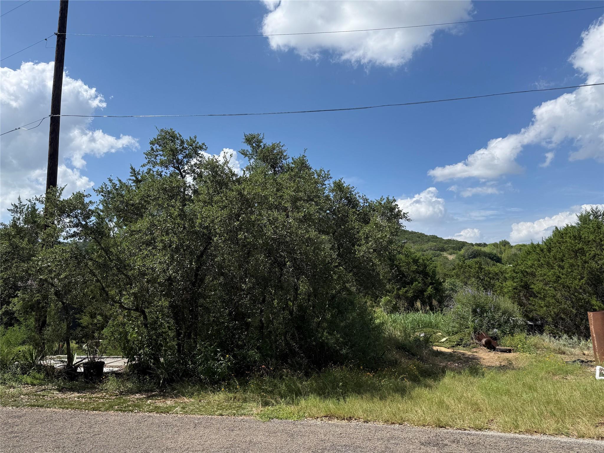 A verdant hillside provides a serene backdrop for