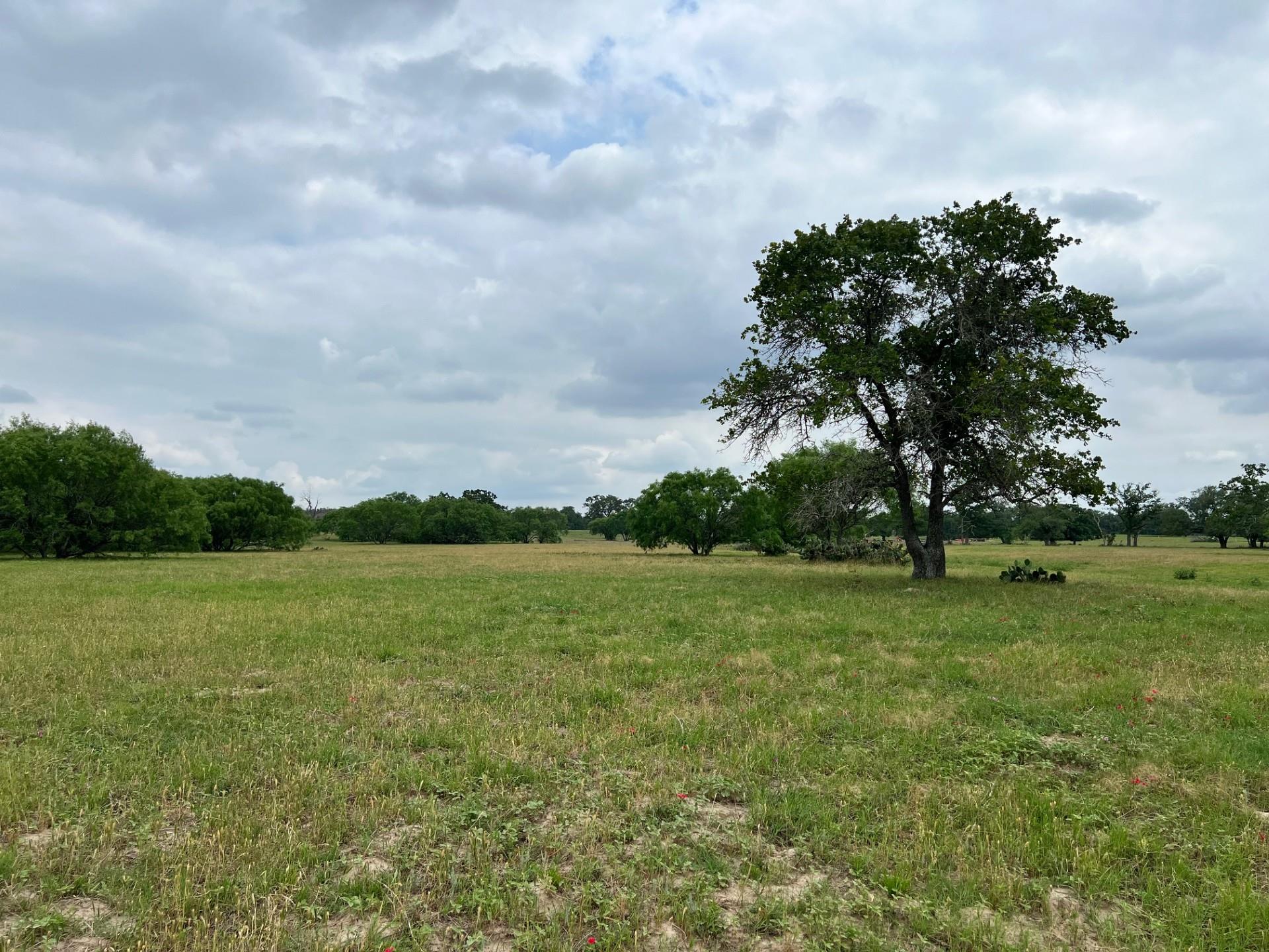 An expansive green field offers a tranquil settin
