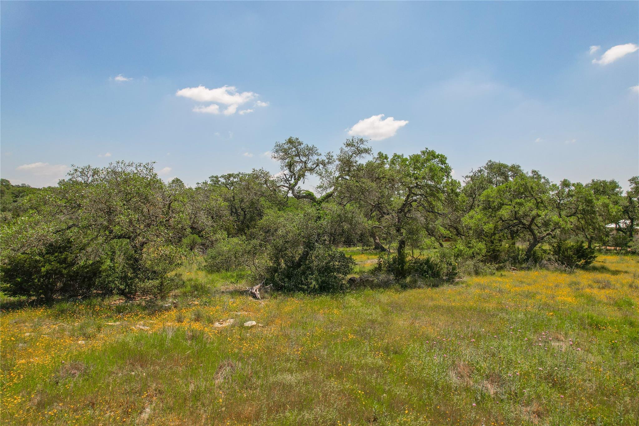 Listing photo 1 of 121  Asa Harold None