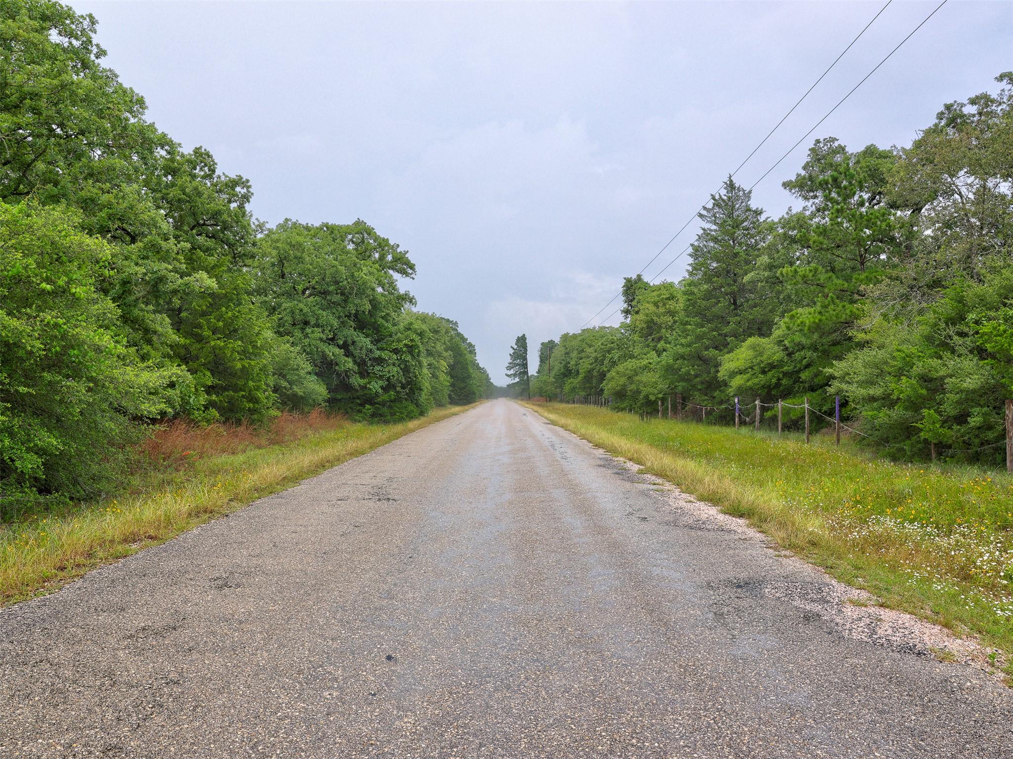 An inviting, tree-lined road stretches into the d