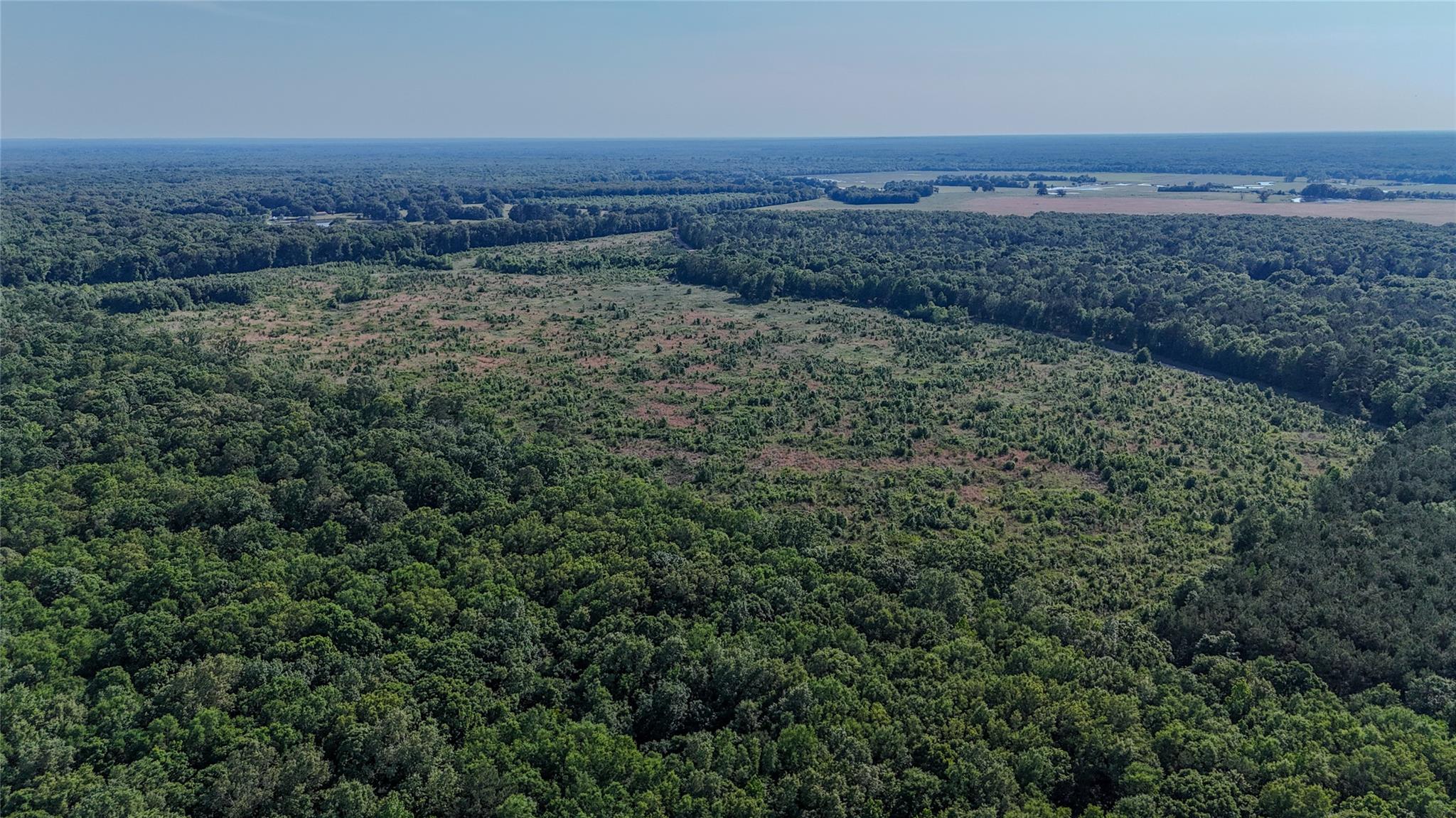 Vast, verdant forest expanses offer privacy and c