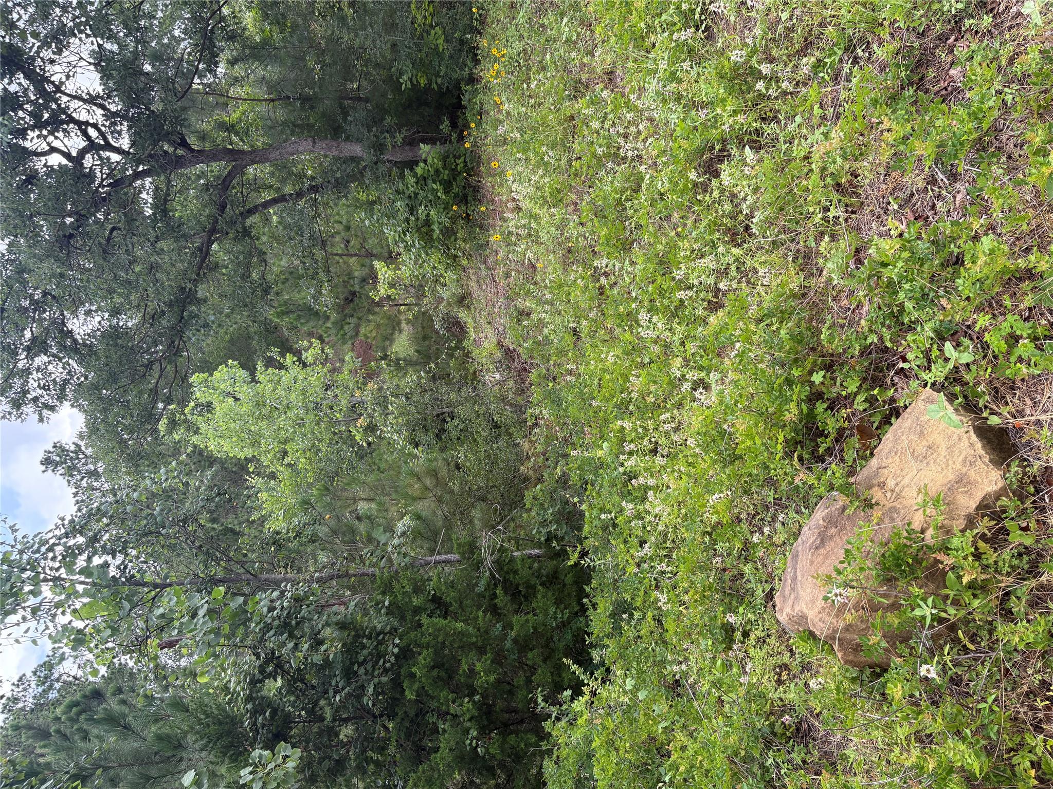 Discover a natural landscape, offering a private,