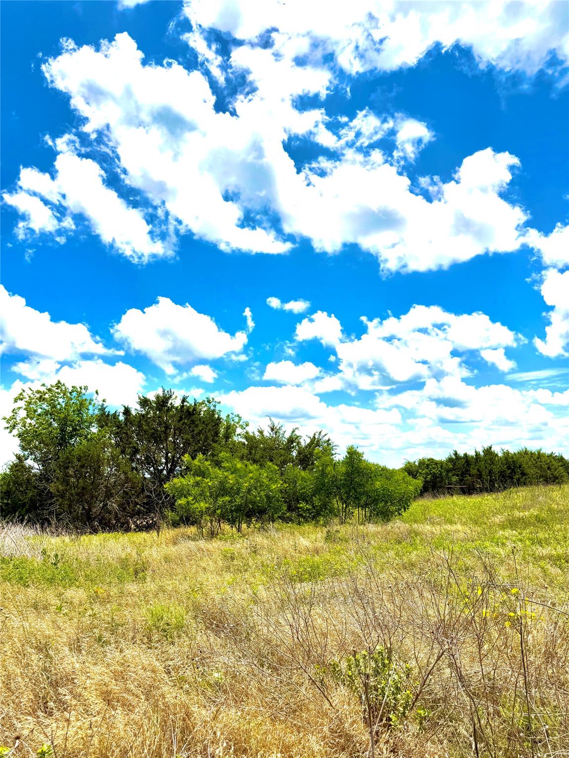 A rolling meadow bordered by vibrant foliage offe