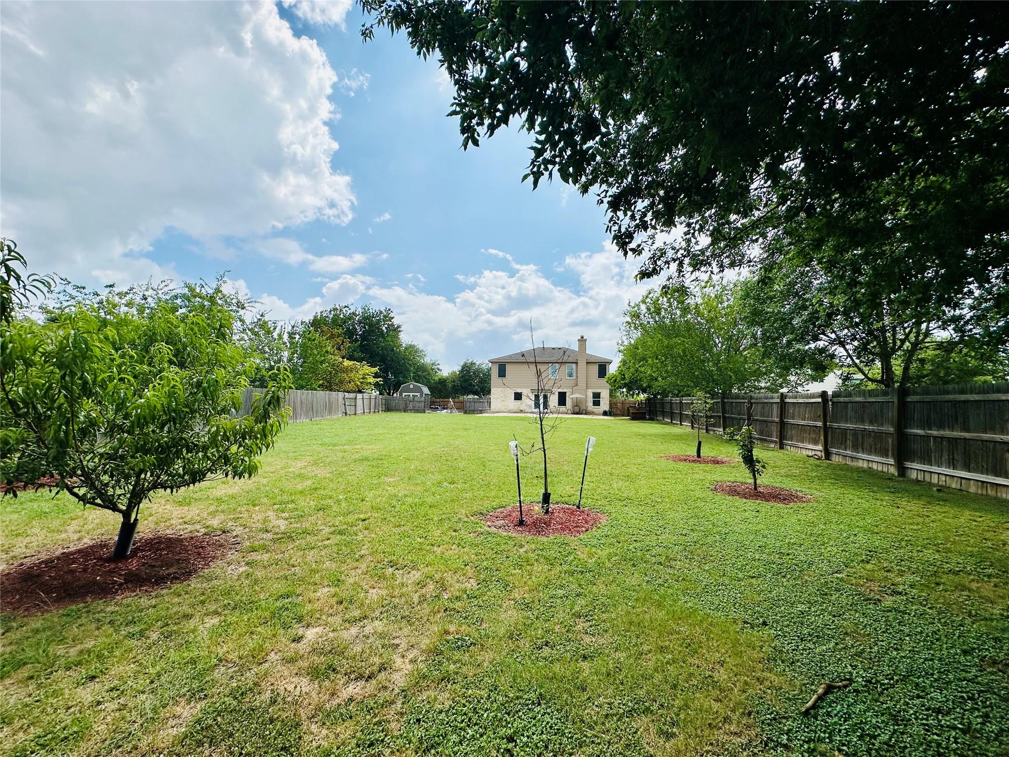 A spacious backyard with a private fence, verdant