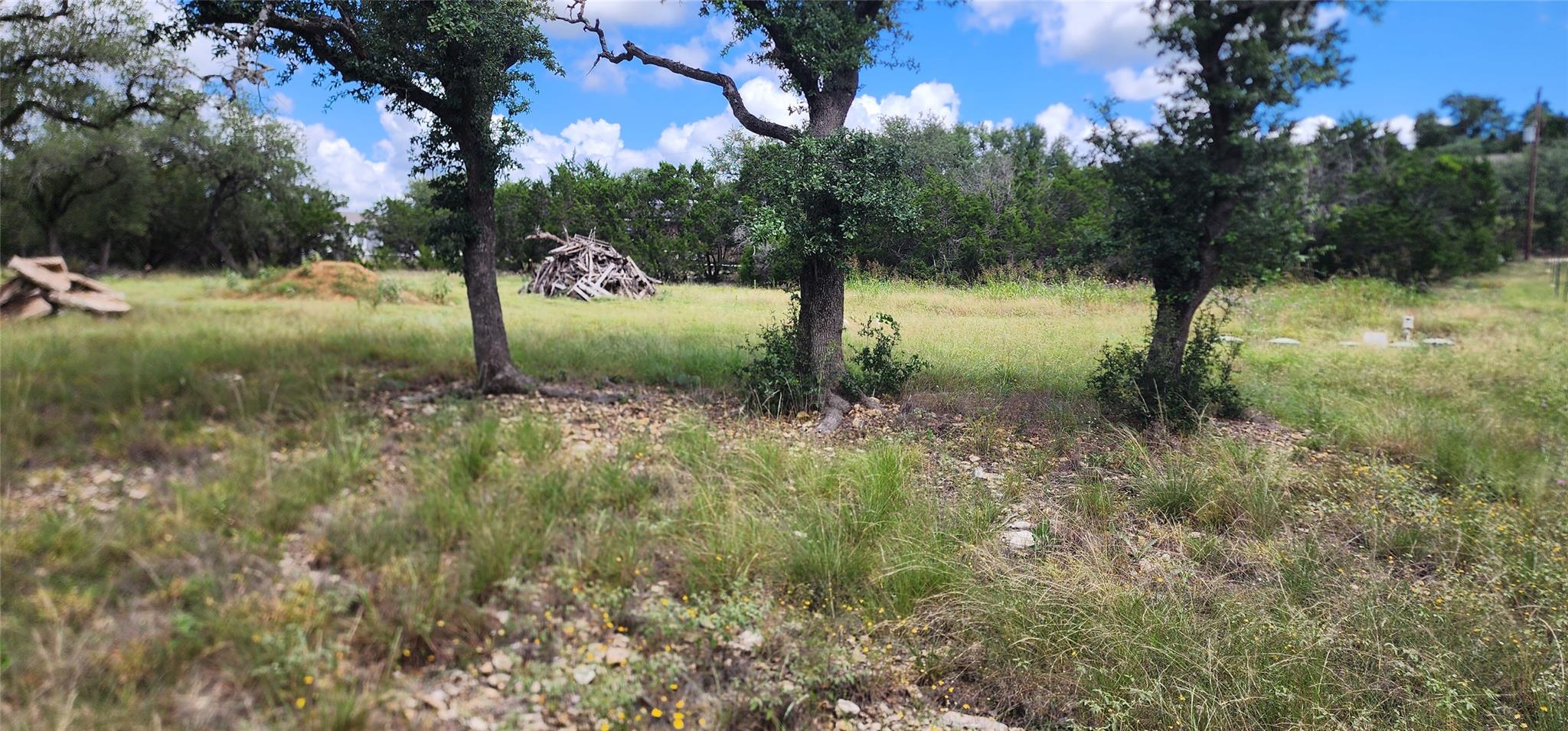 Mature trees and native grasses blanket this gene