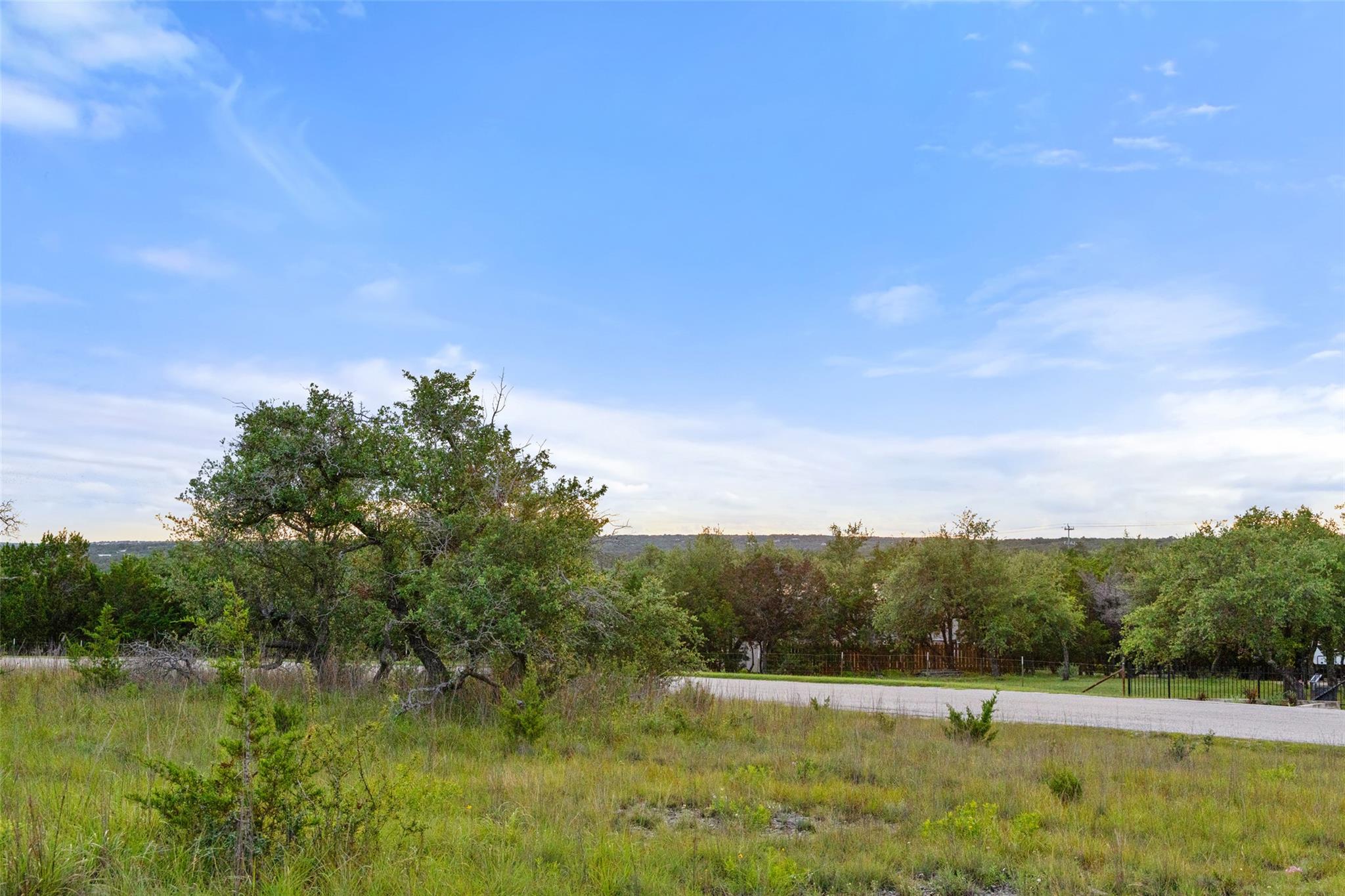 Mature trees and lush greenery flank a quiet road