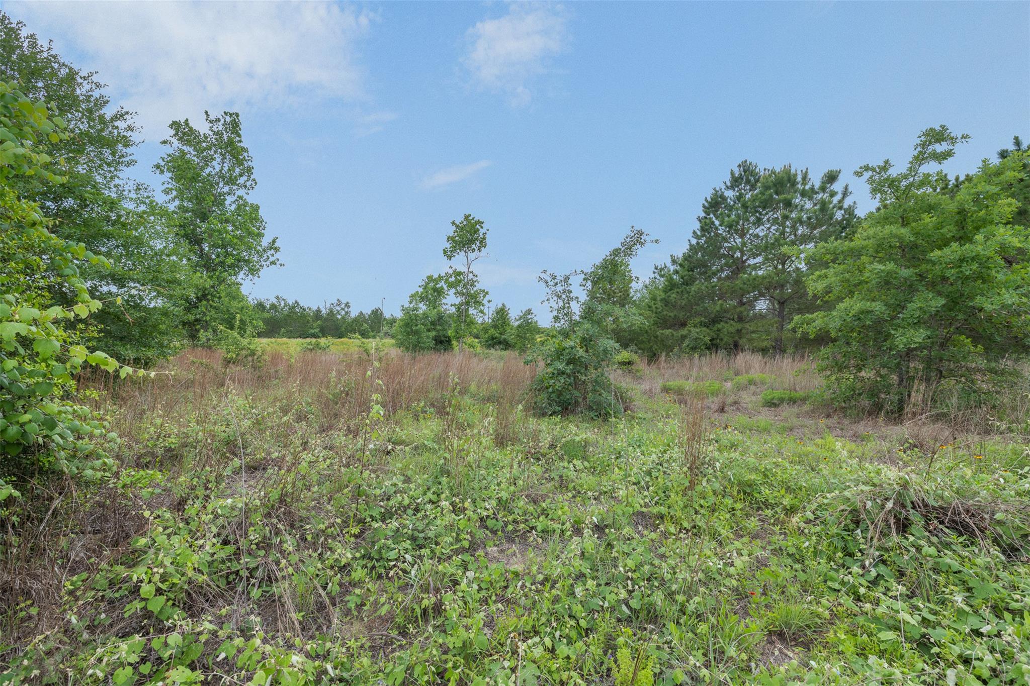 Vast, undeveloped land awaits your vision, surrou