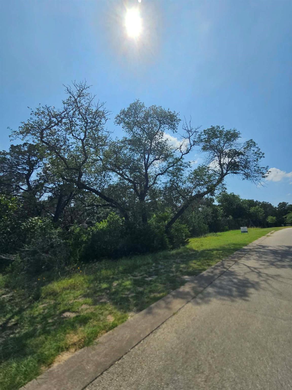 Mature trees and lush greenery border the paved r