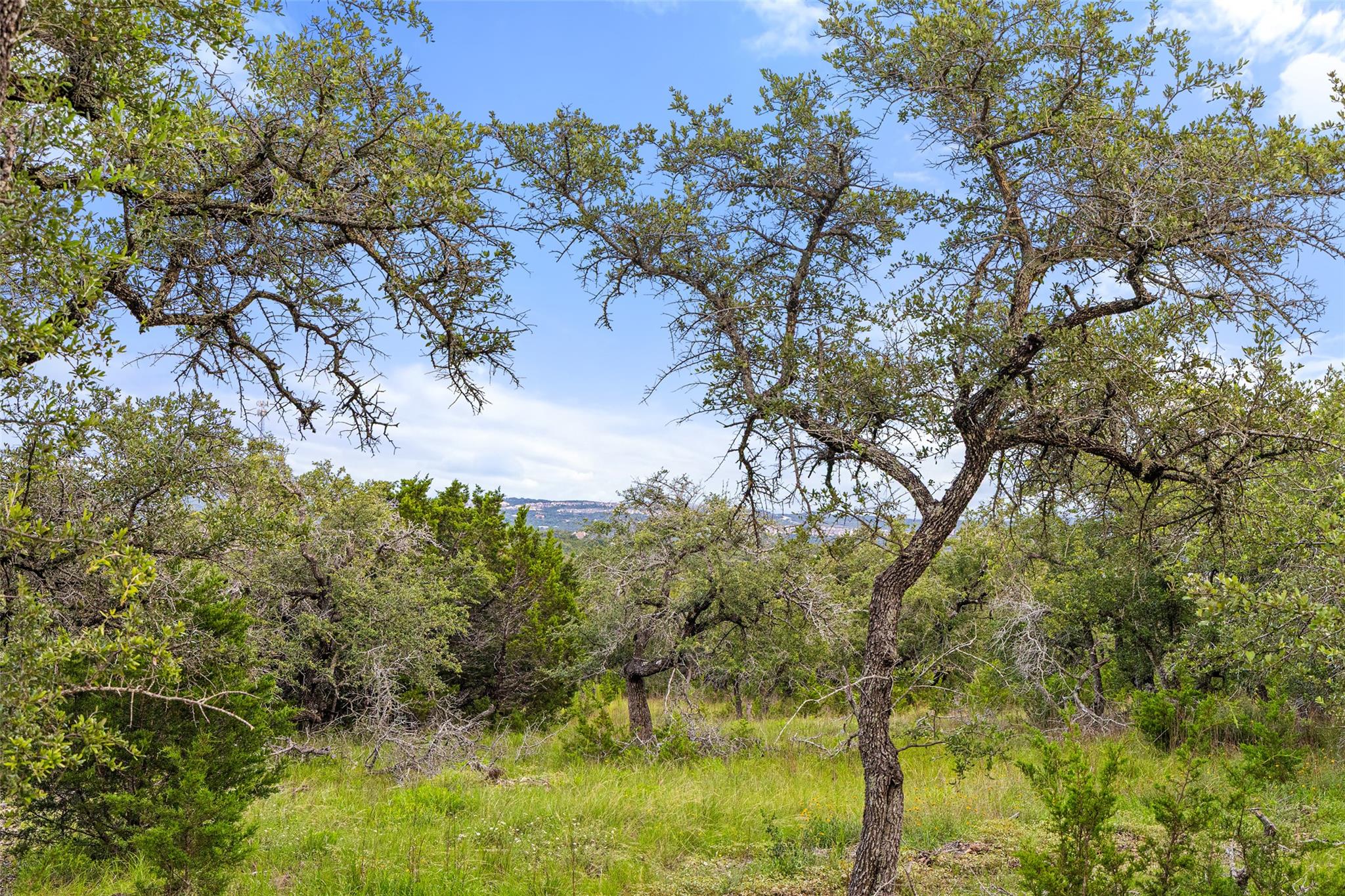 A secluded, treed parcel with distant views offer