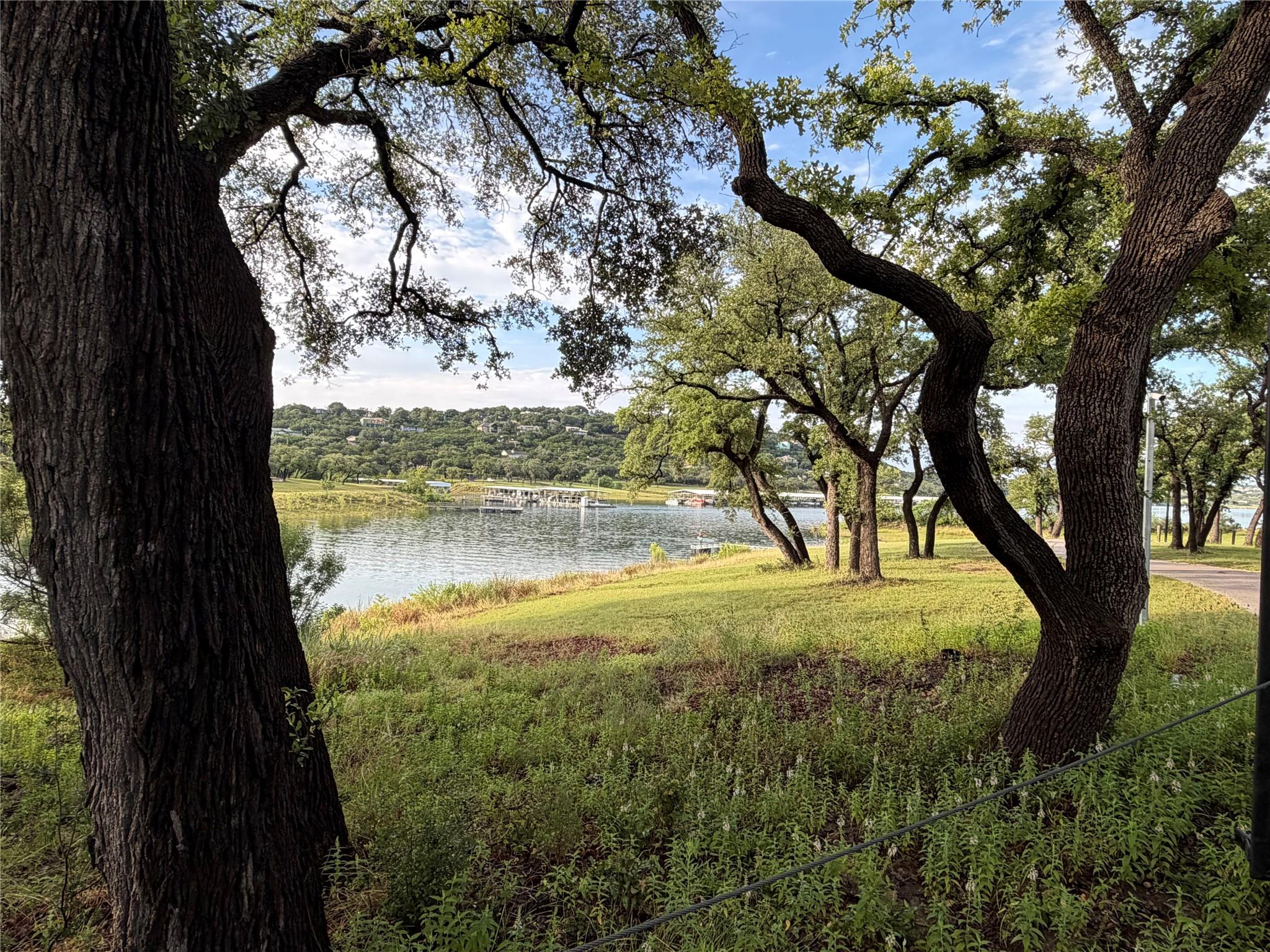 A tranquil lakeside vista with established trees 