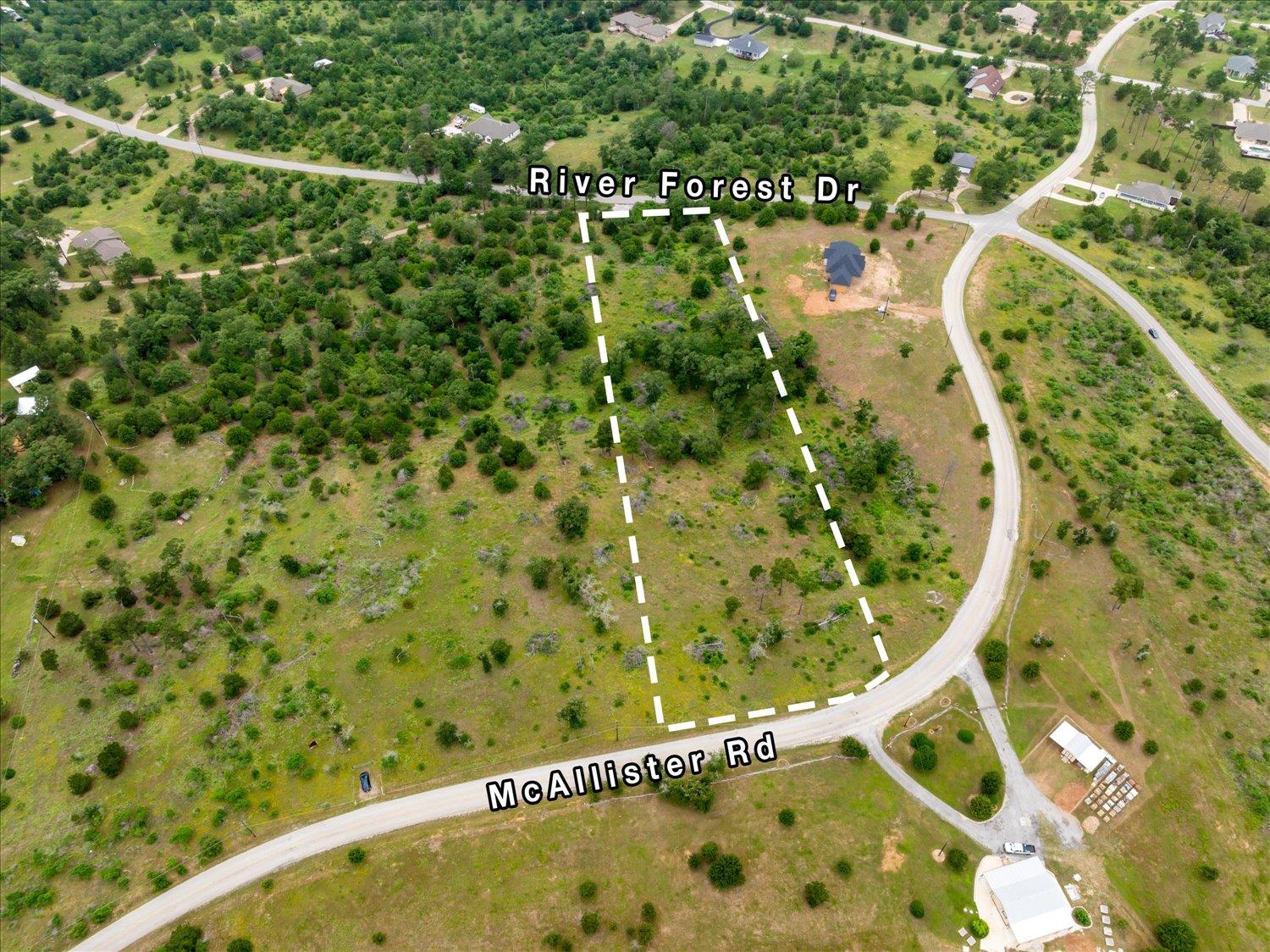 A verdant, undeveloped land parcel offers future 