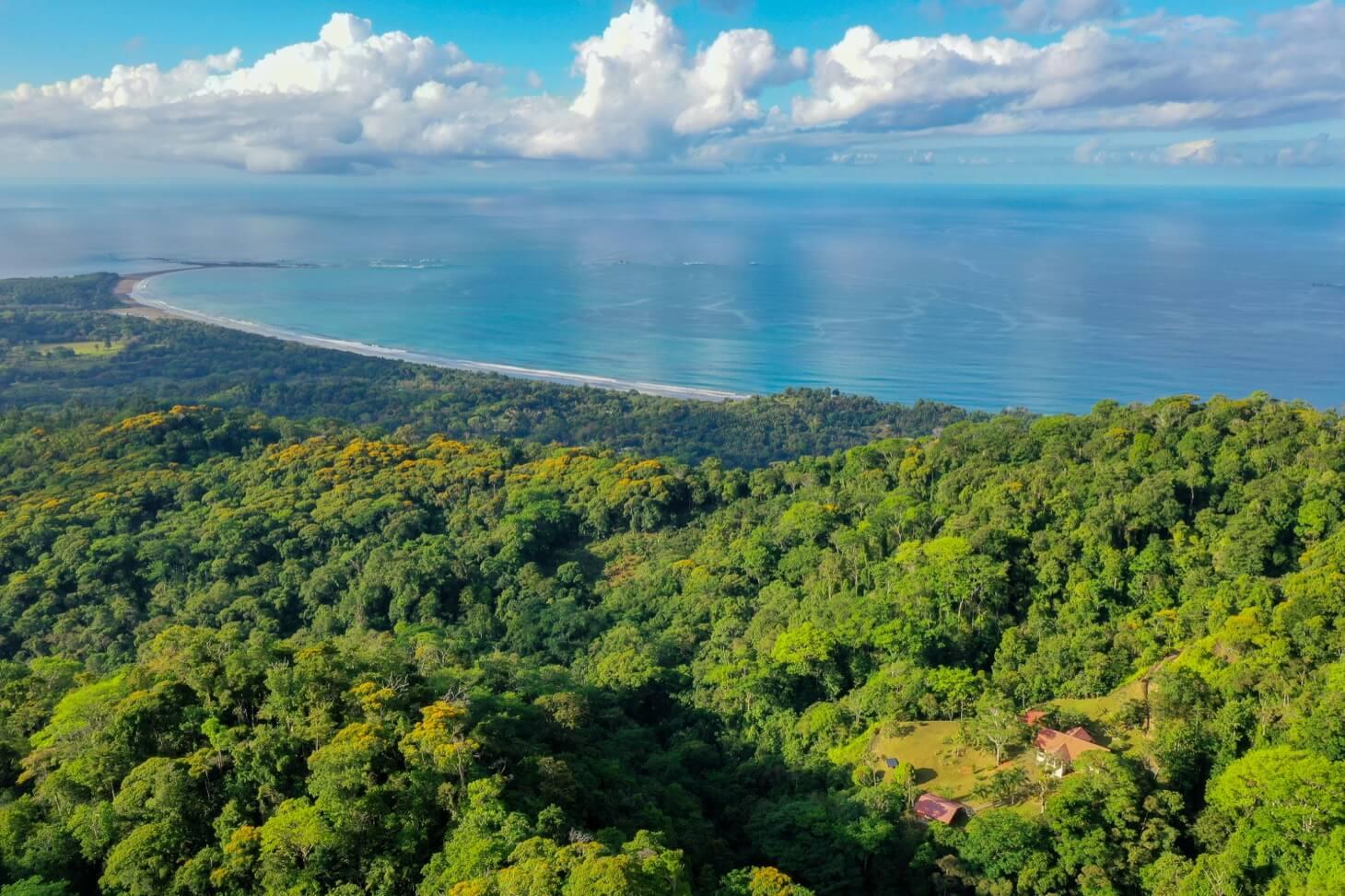 Perched above the tree canopy, this property prov