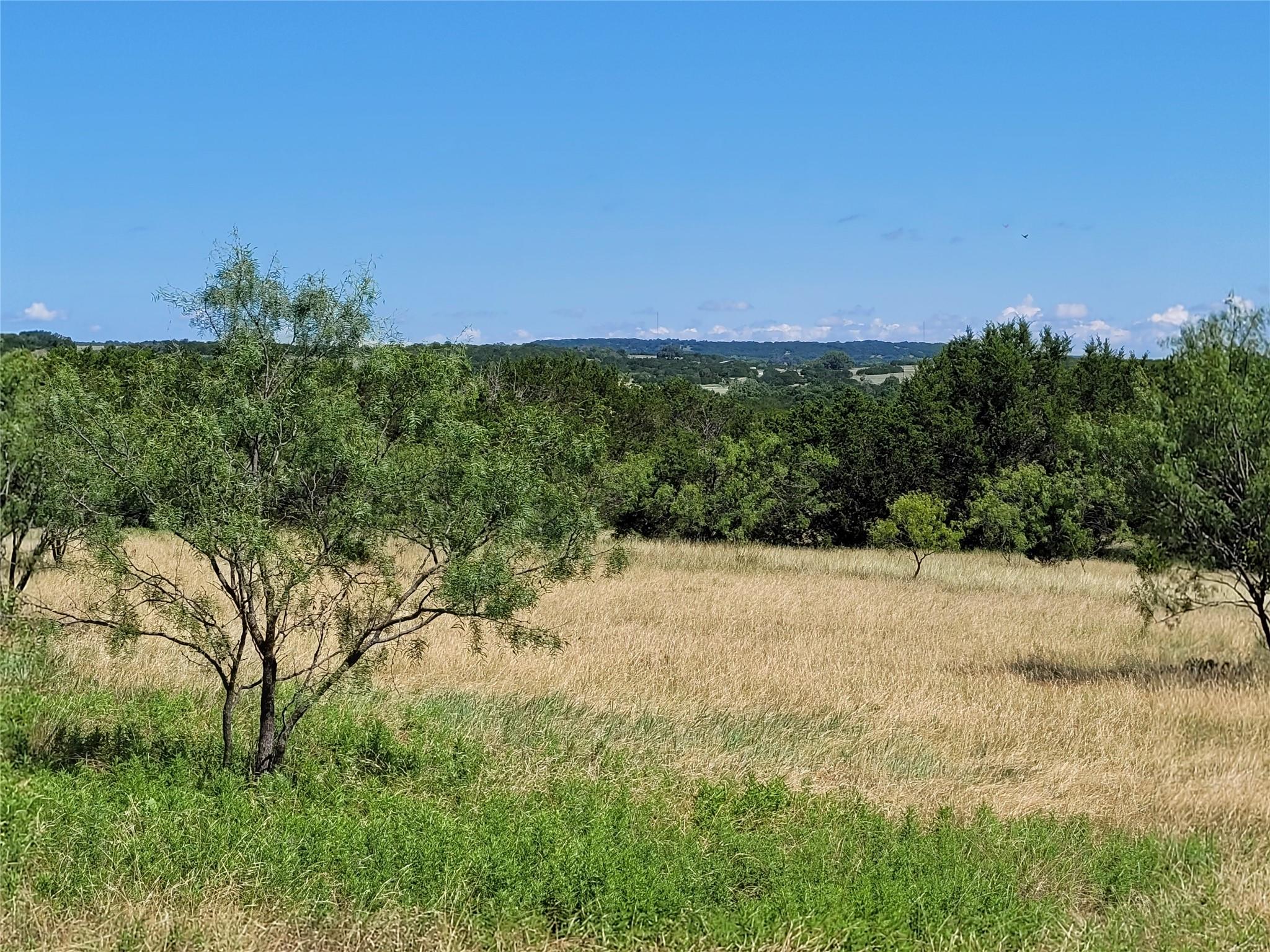 A rolling meadow with mature trees under a clear 