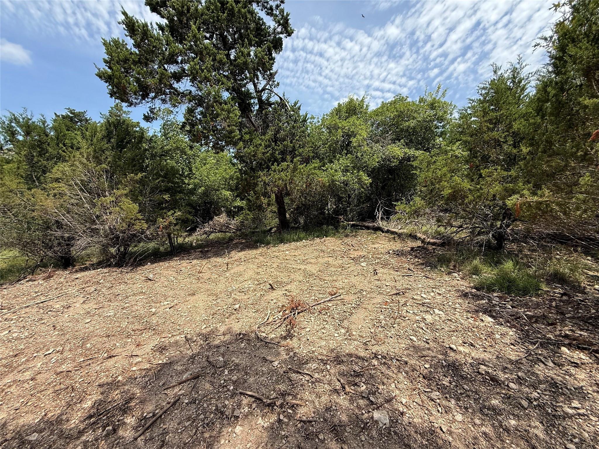 A promising build site awaits amidst natural wood