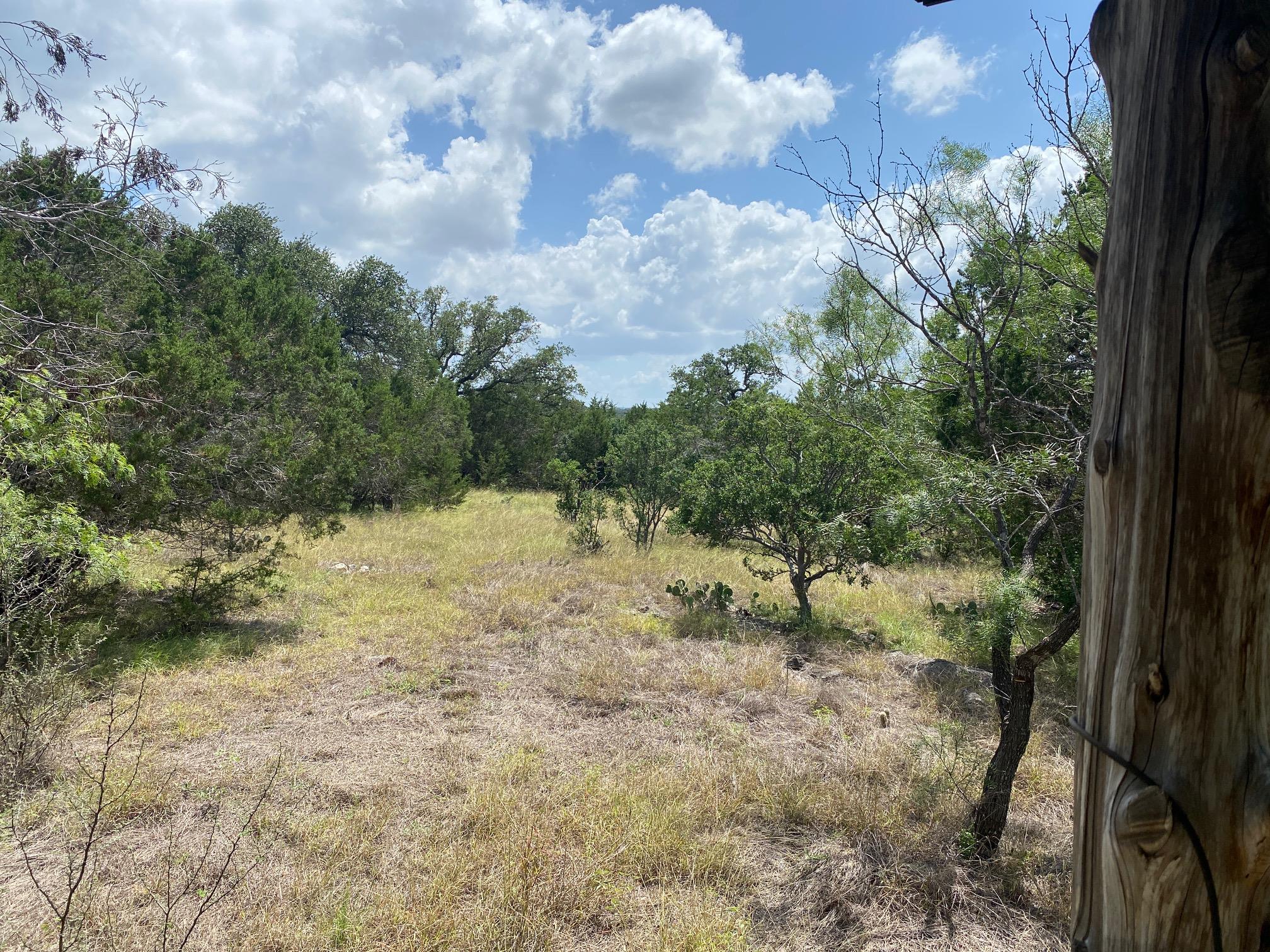 A spacious, natural landscape with abundant green