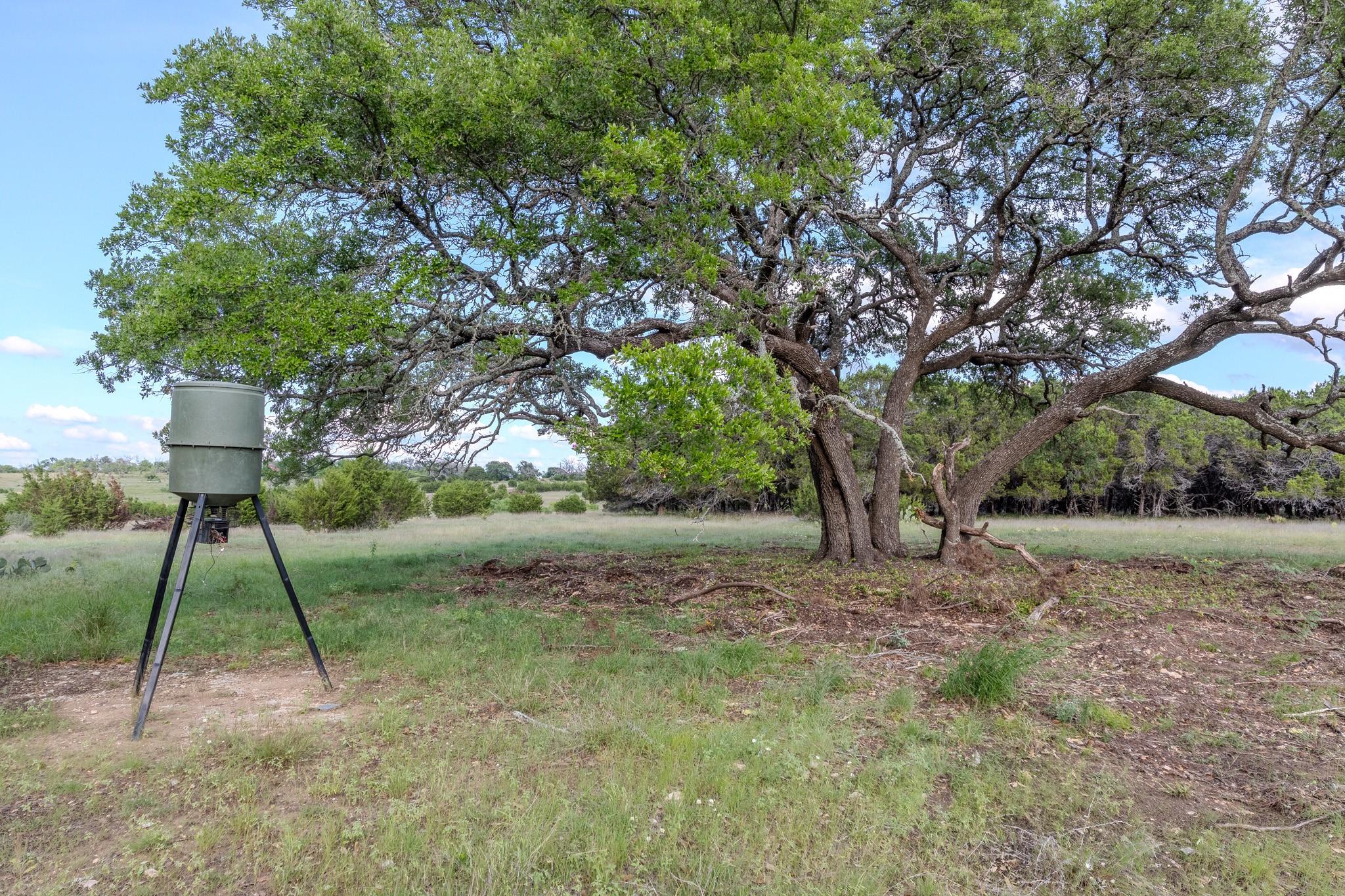 Listing photo 1 of Lot 3  Bluestem Ln