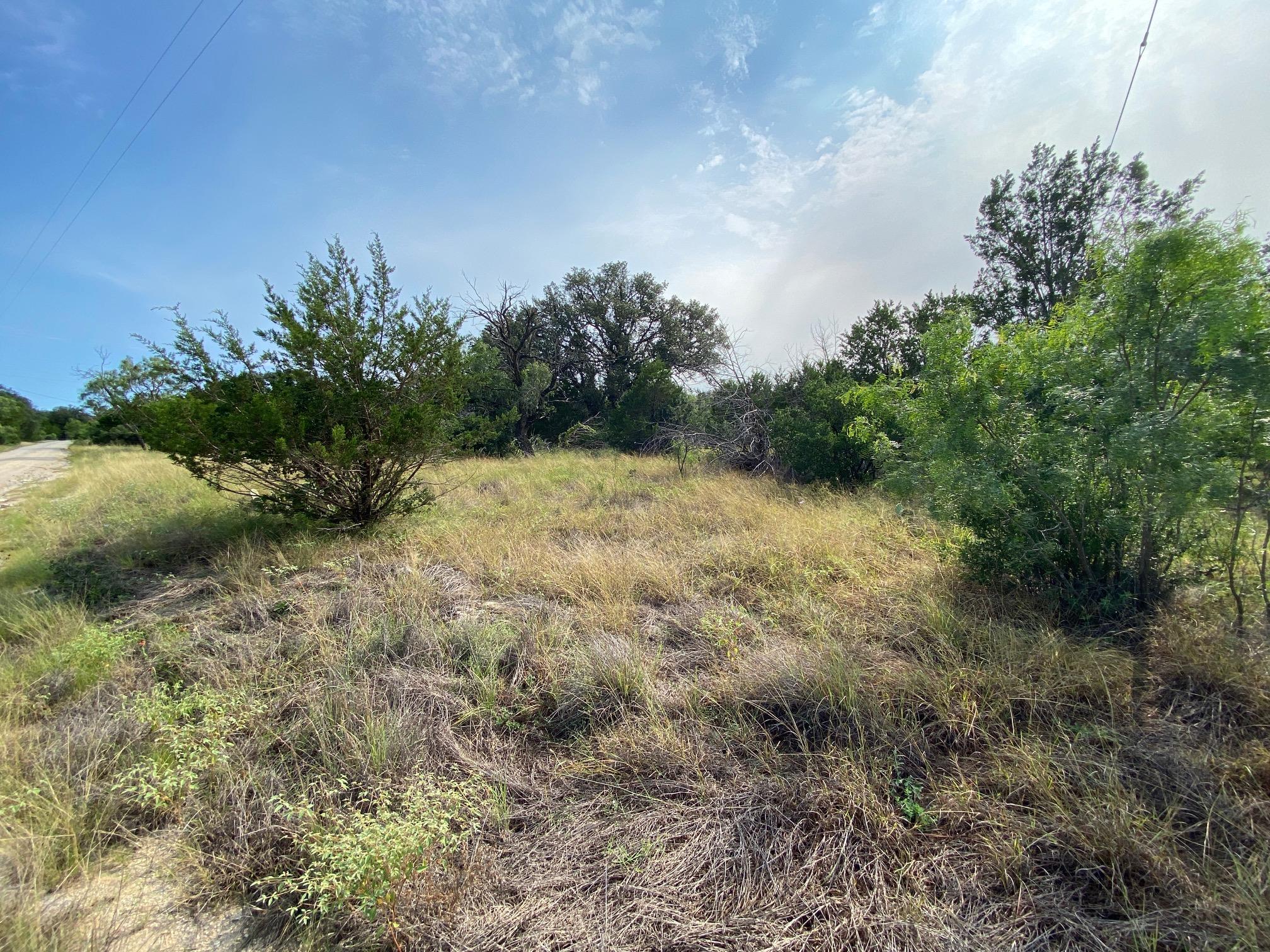 Mature trees frame this verdant undeveloped lot, 
