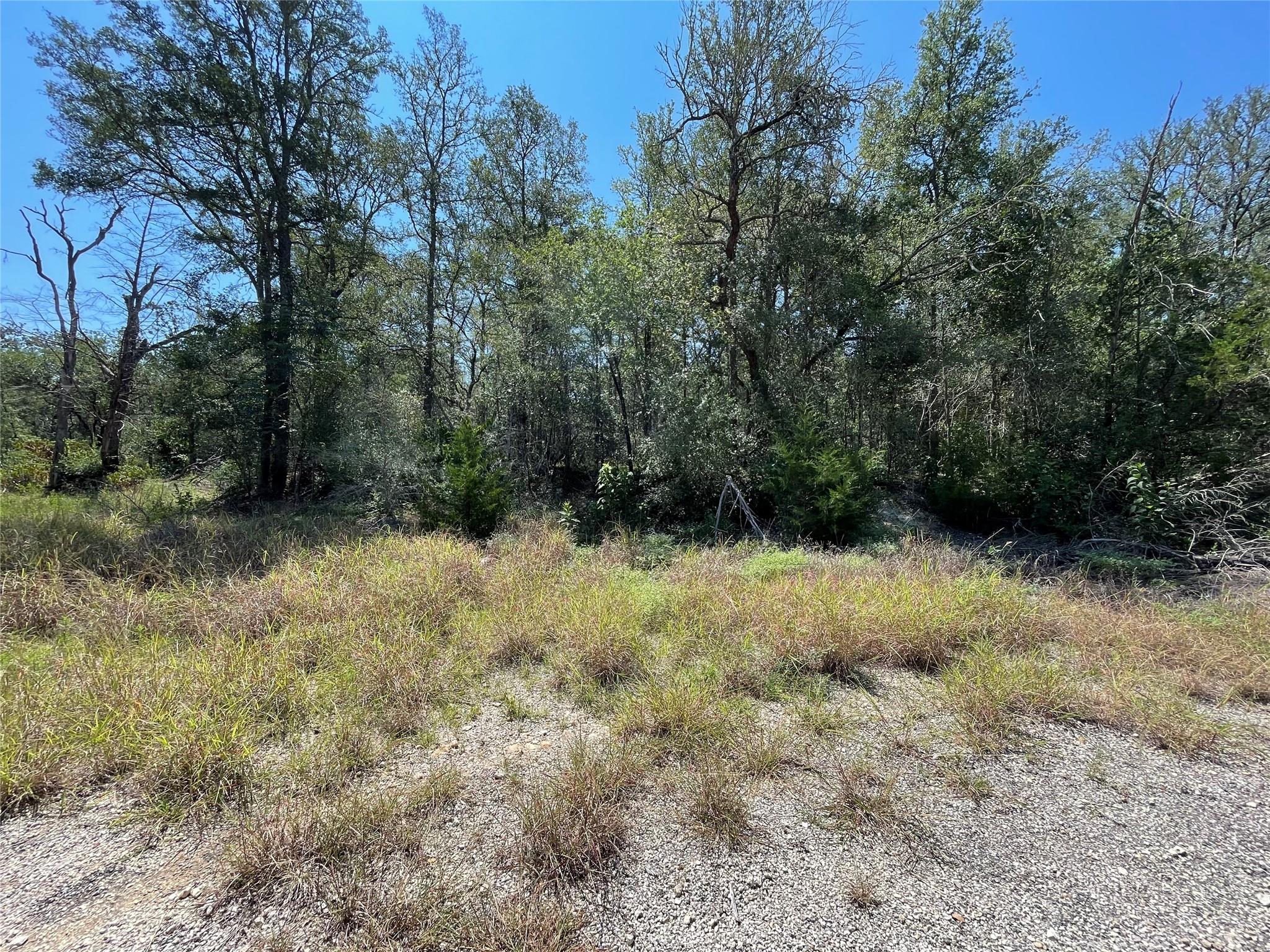 Mature trees frame this verdant plot, offering pr