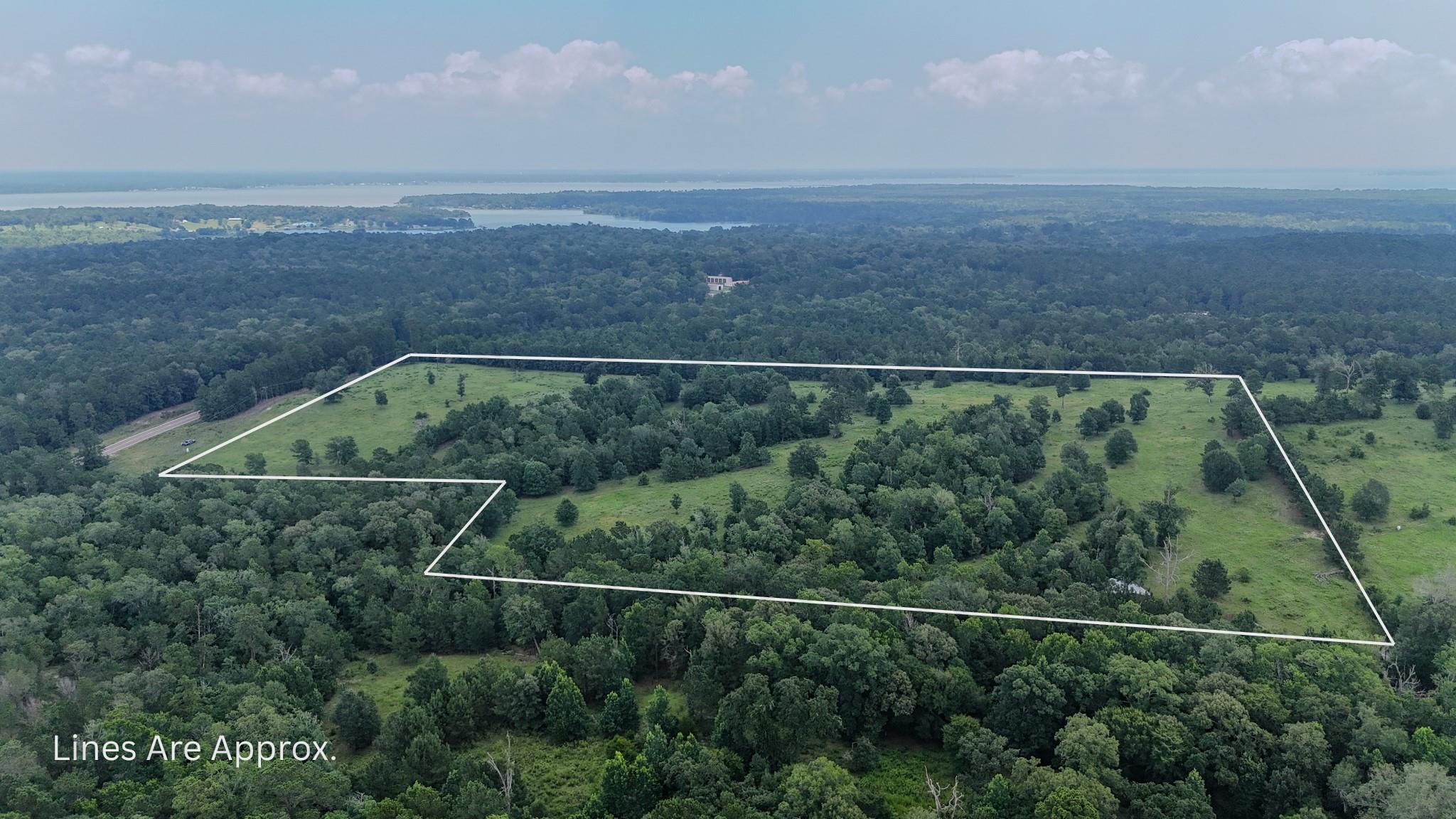 A sprawling acreage with ample greenery, providin