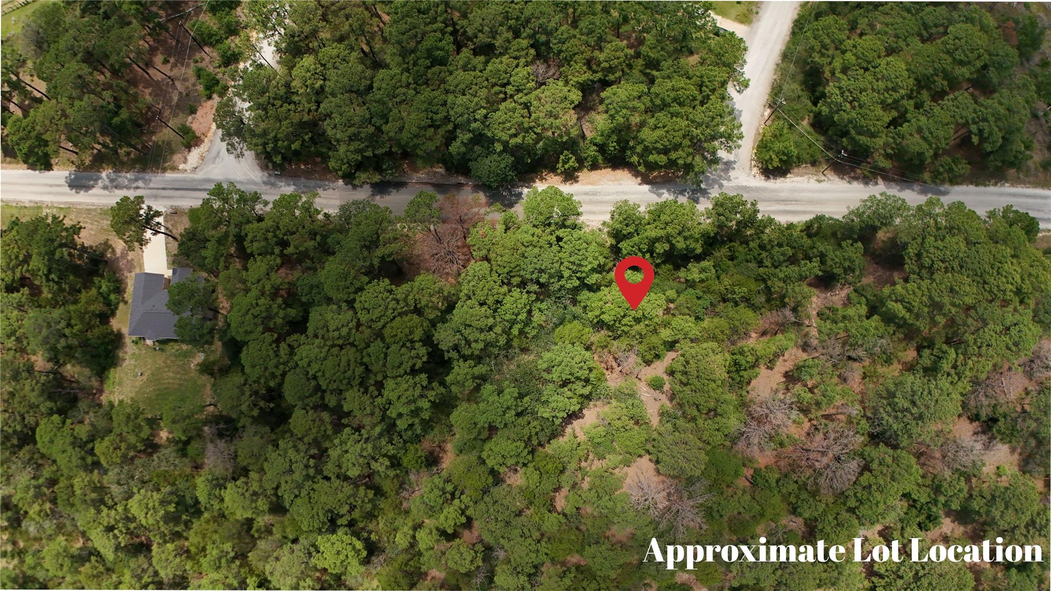 Mature trees and clearings define this promising 