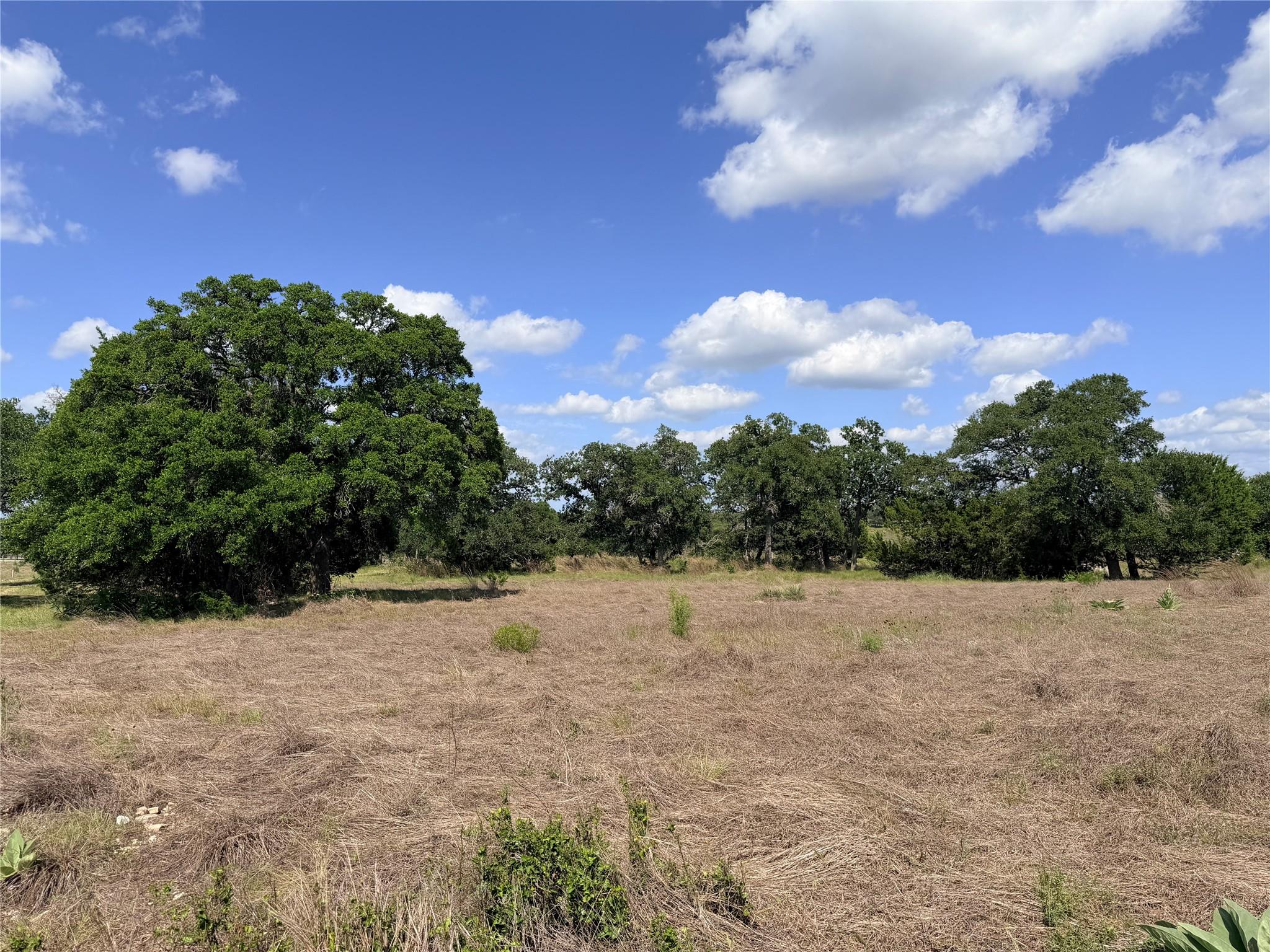 Mature trees frame this expansive meadow, ideal f