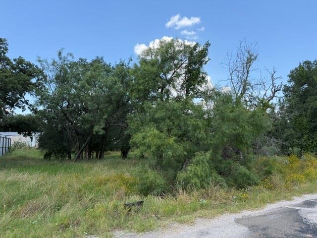 A spacious lot presents an ideal setting for a fu