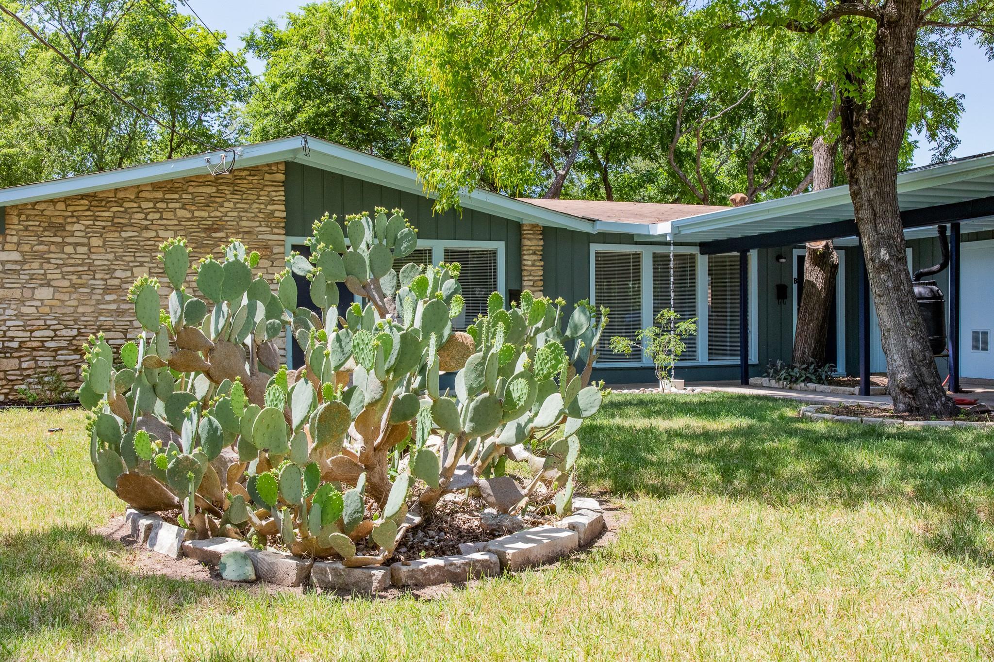 Mature trees and desert-inspired landscaping fram