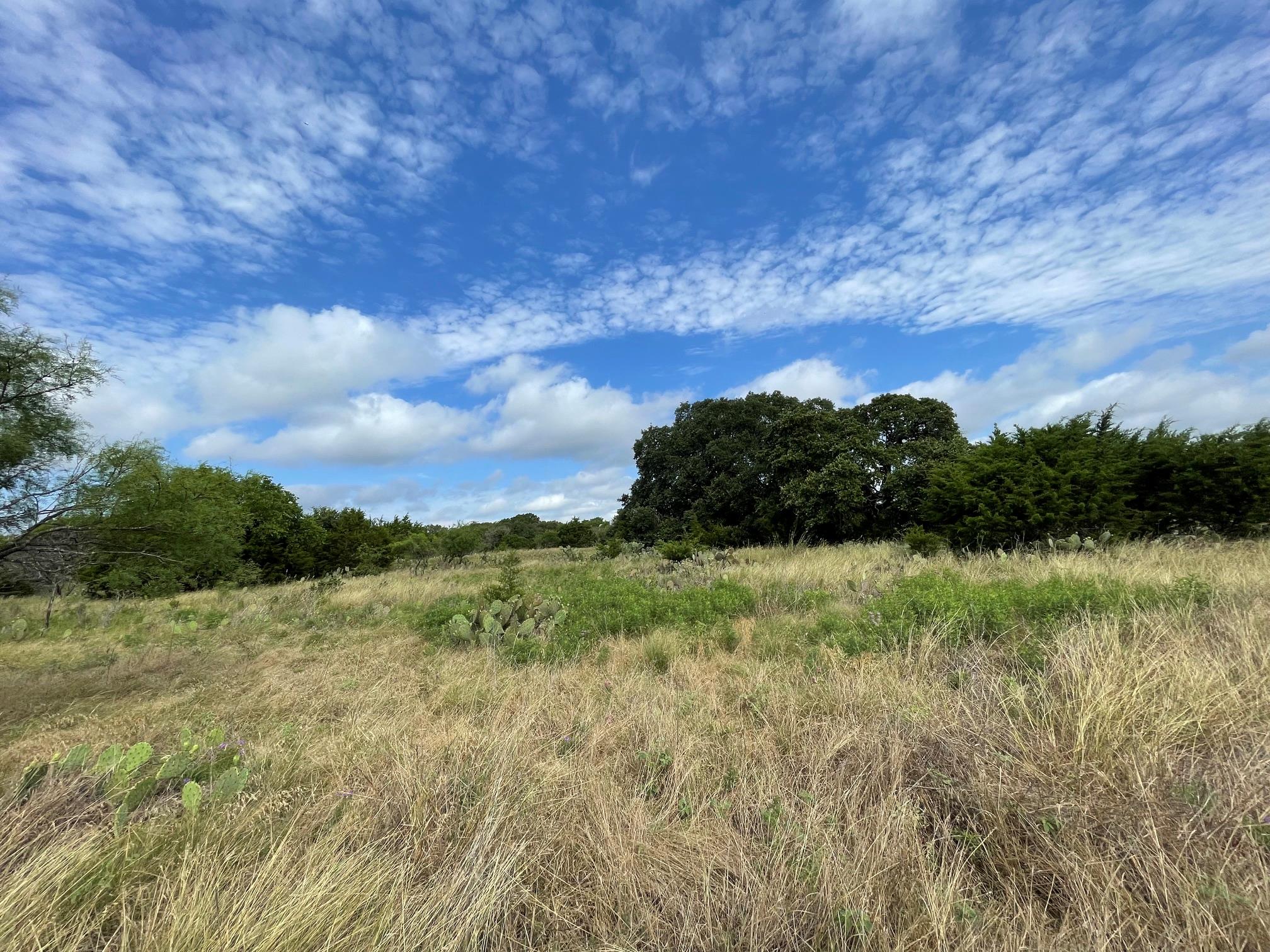 Listing photo 1 of TBD  County Road 206 None