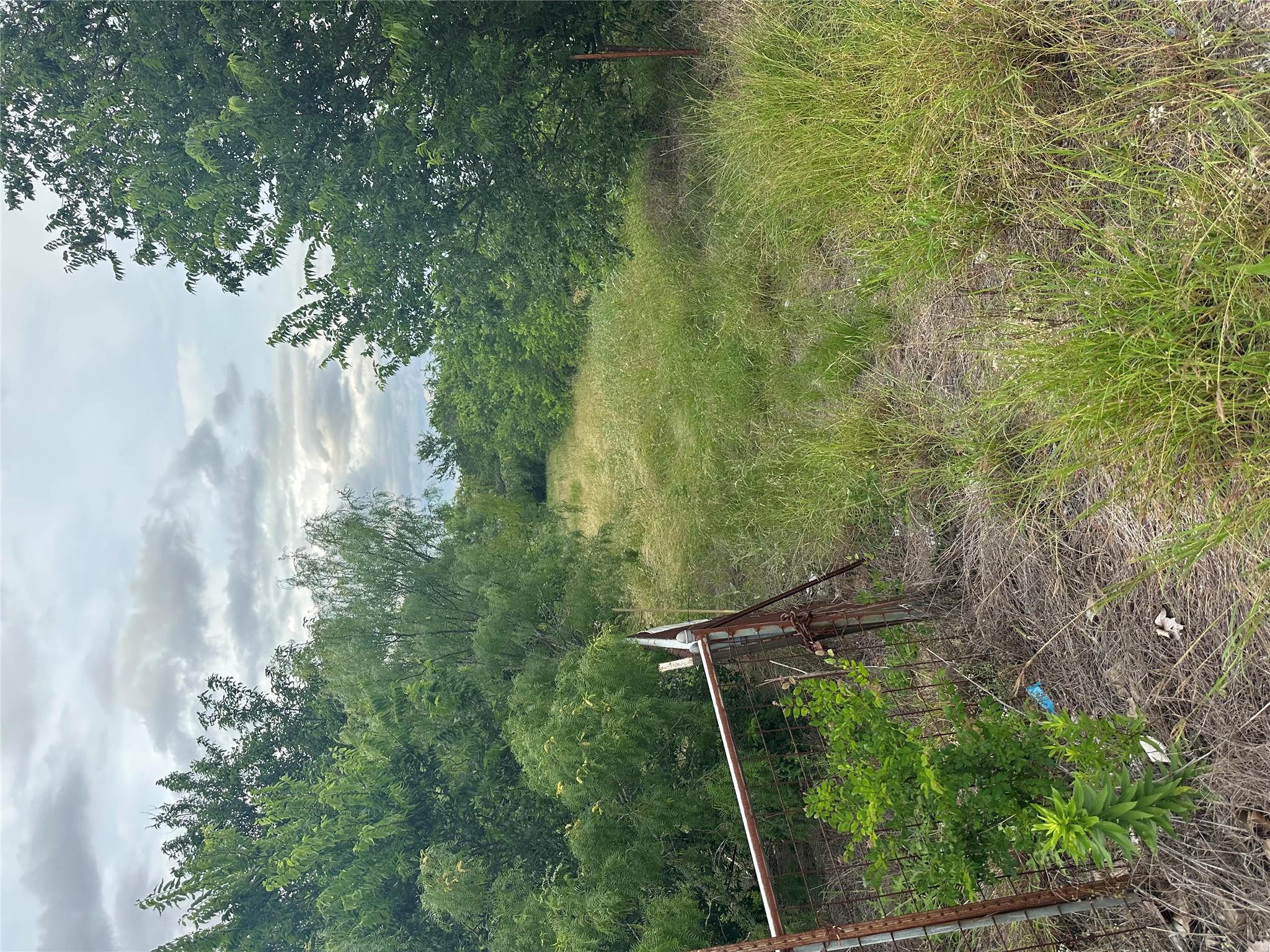 A secluded plot offers abundant natural growth, p