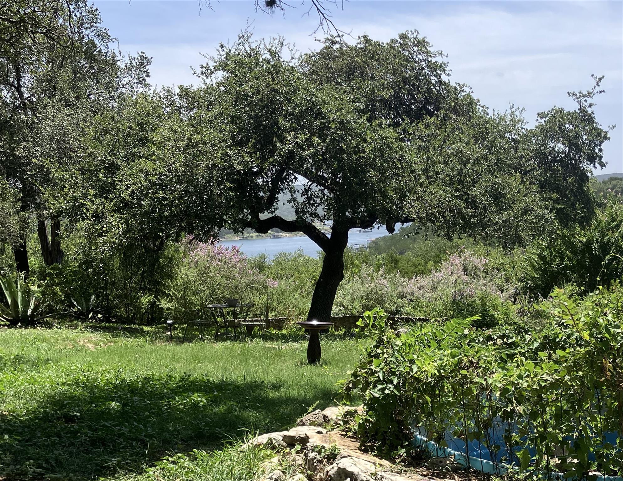 A verdant landscape provides a serene setting wit