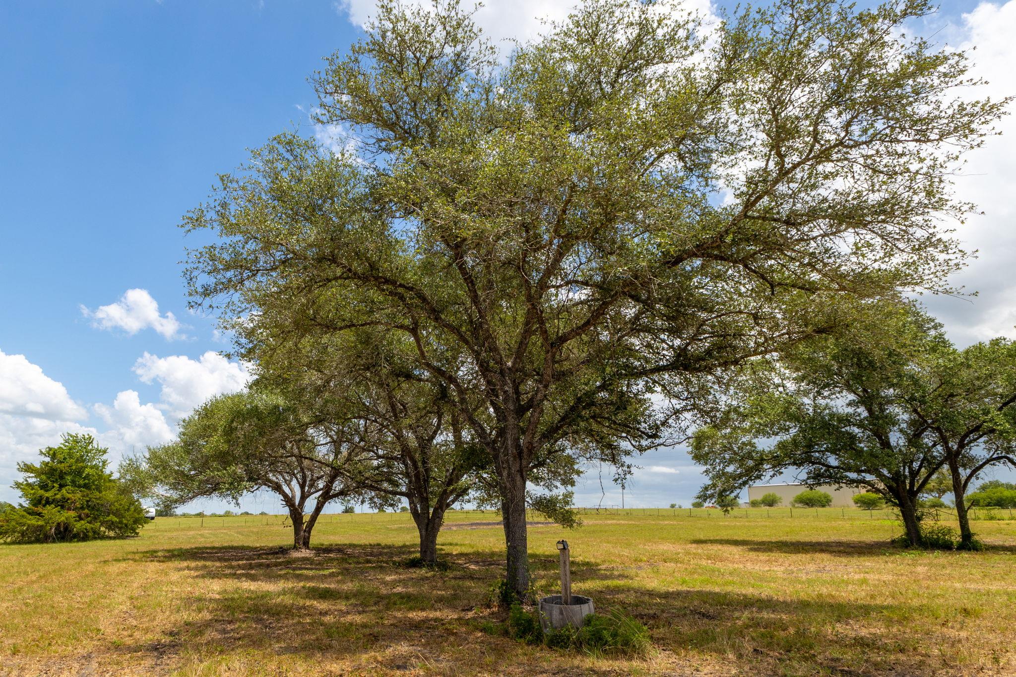 Listing photo 1 of 1021 E Old Hallettsville Rd