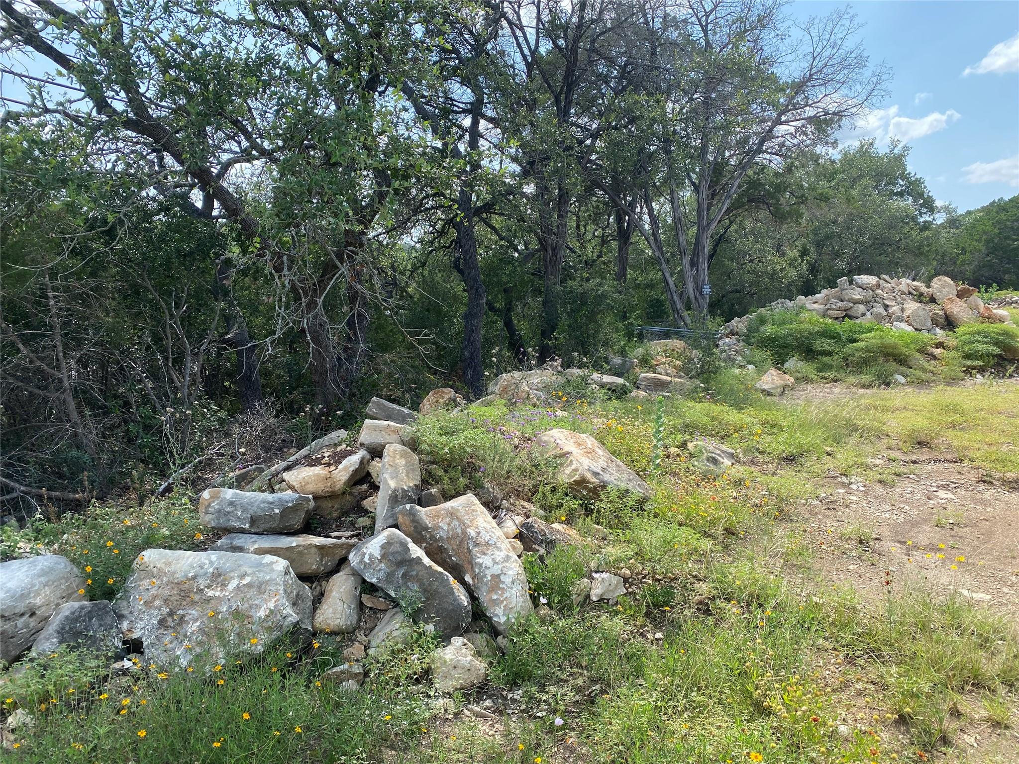 A promising build site awaits amidst mature trees