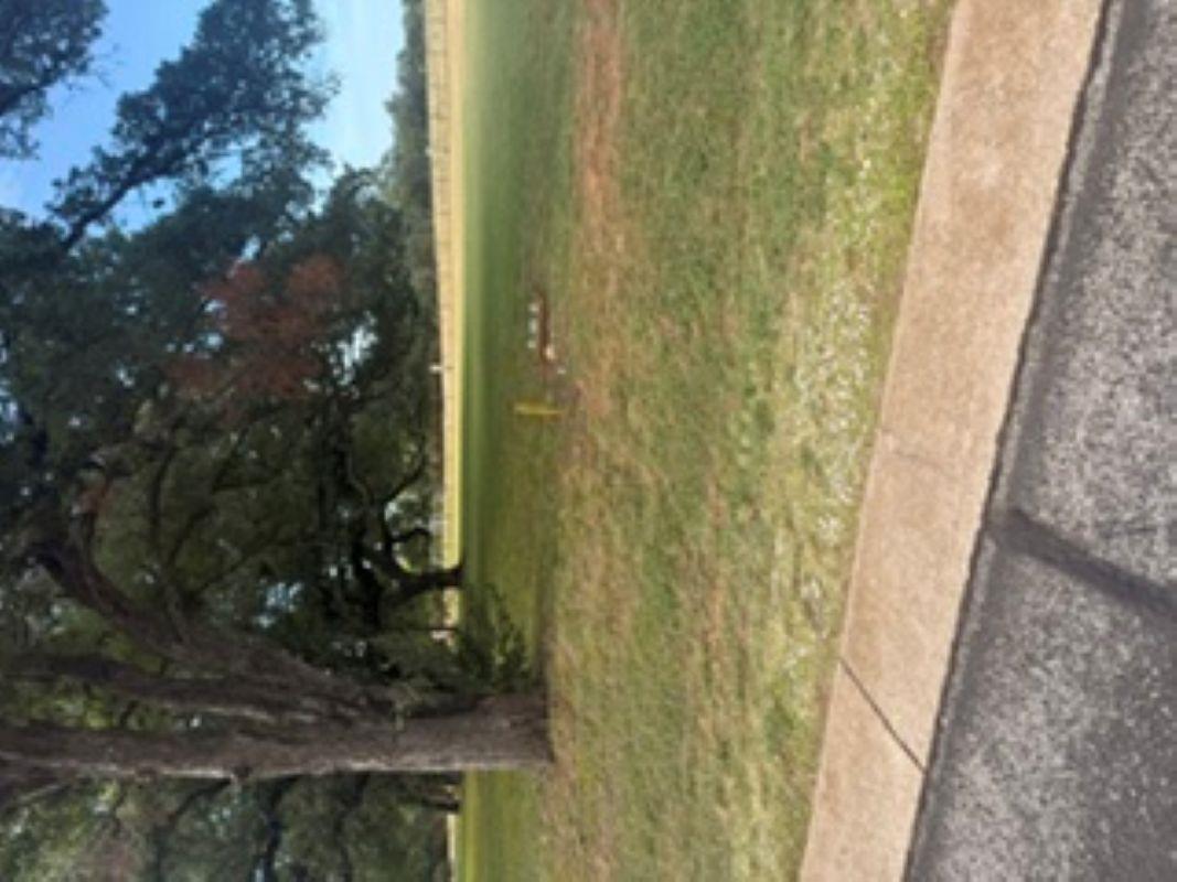 Mature trees and expansive green space offer natu