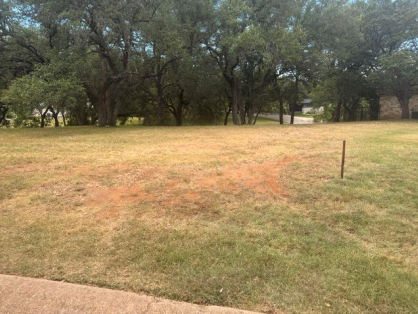 Mature trees frame this verdant plot, awaiting yo