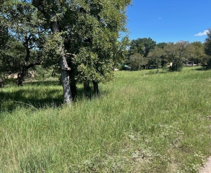 Green pastures and mature trees create a natural,